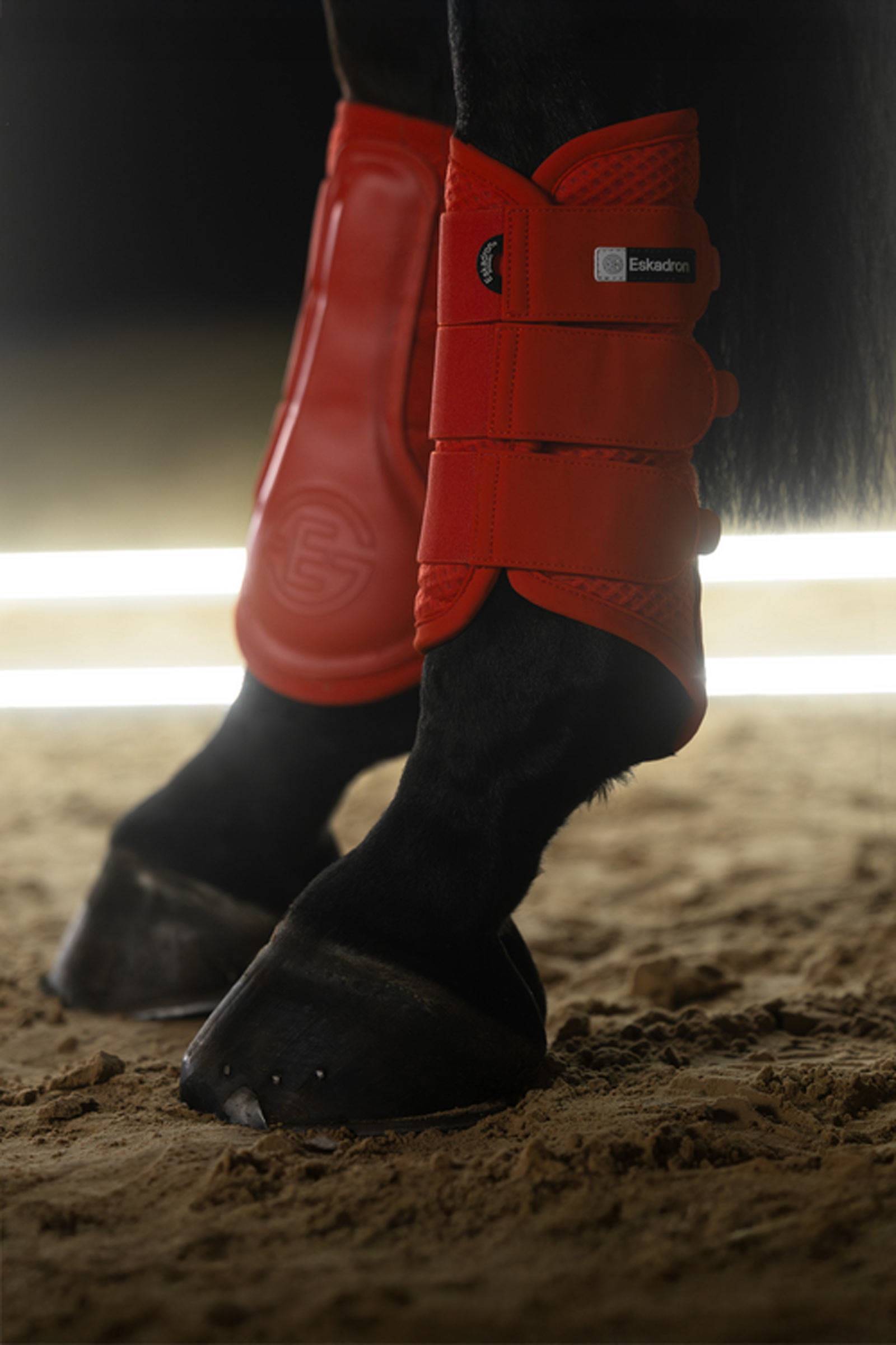 Eskadron Dynamics AW25 guêtres tendons en mesh