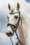 Kieffer Ultrasoft&reg; Fashion Bridle