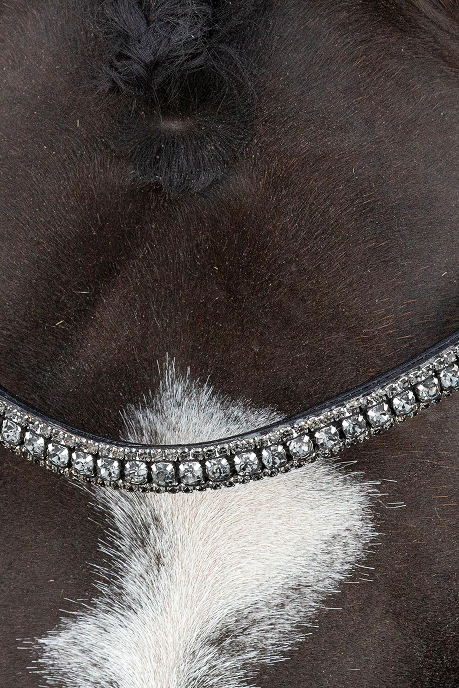 Schockem&ouml;hle Sports Brindisi Bride