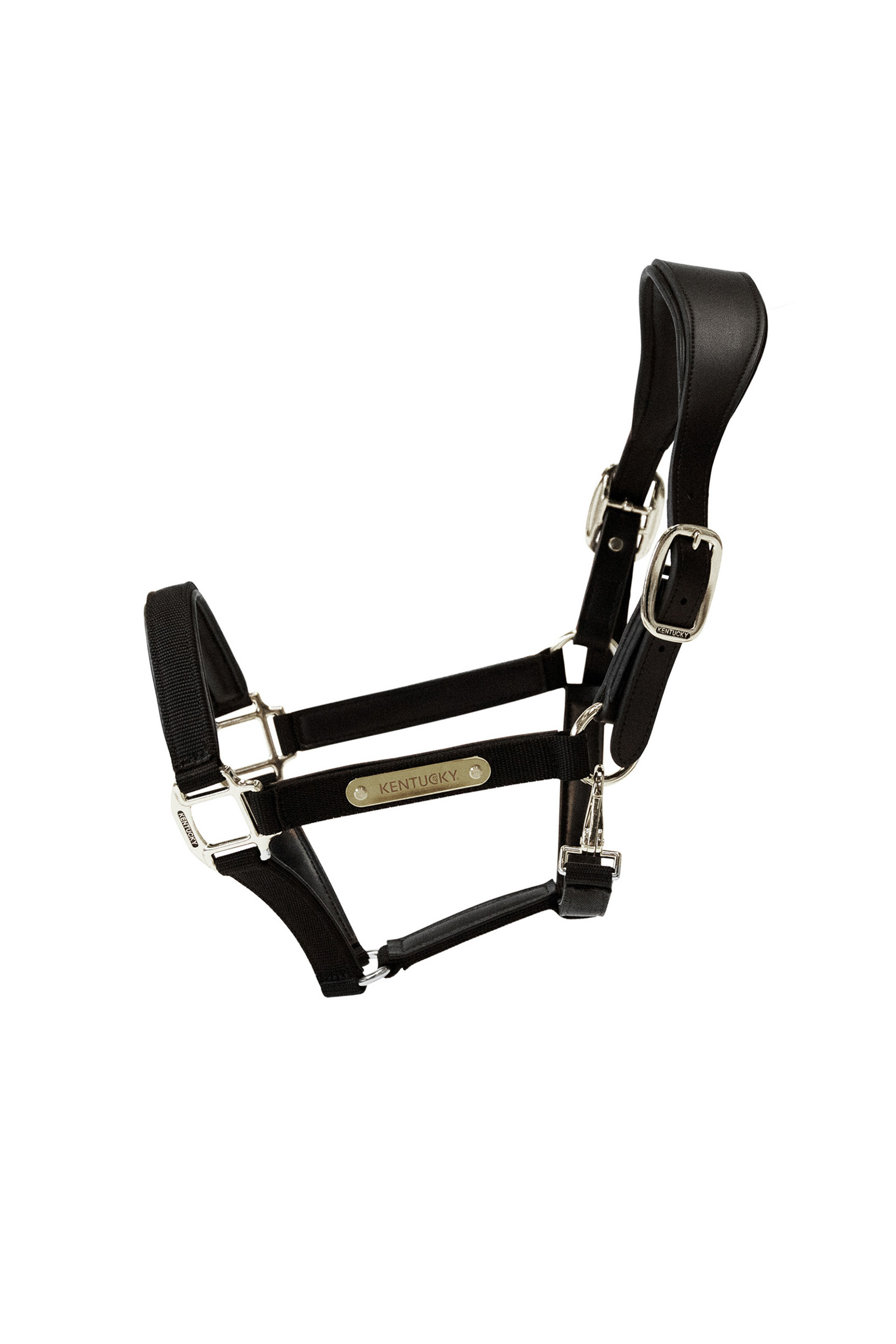 Black Kentucky Horsewear Licol anatomique en nylon