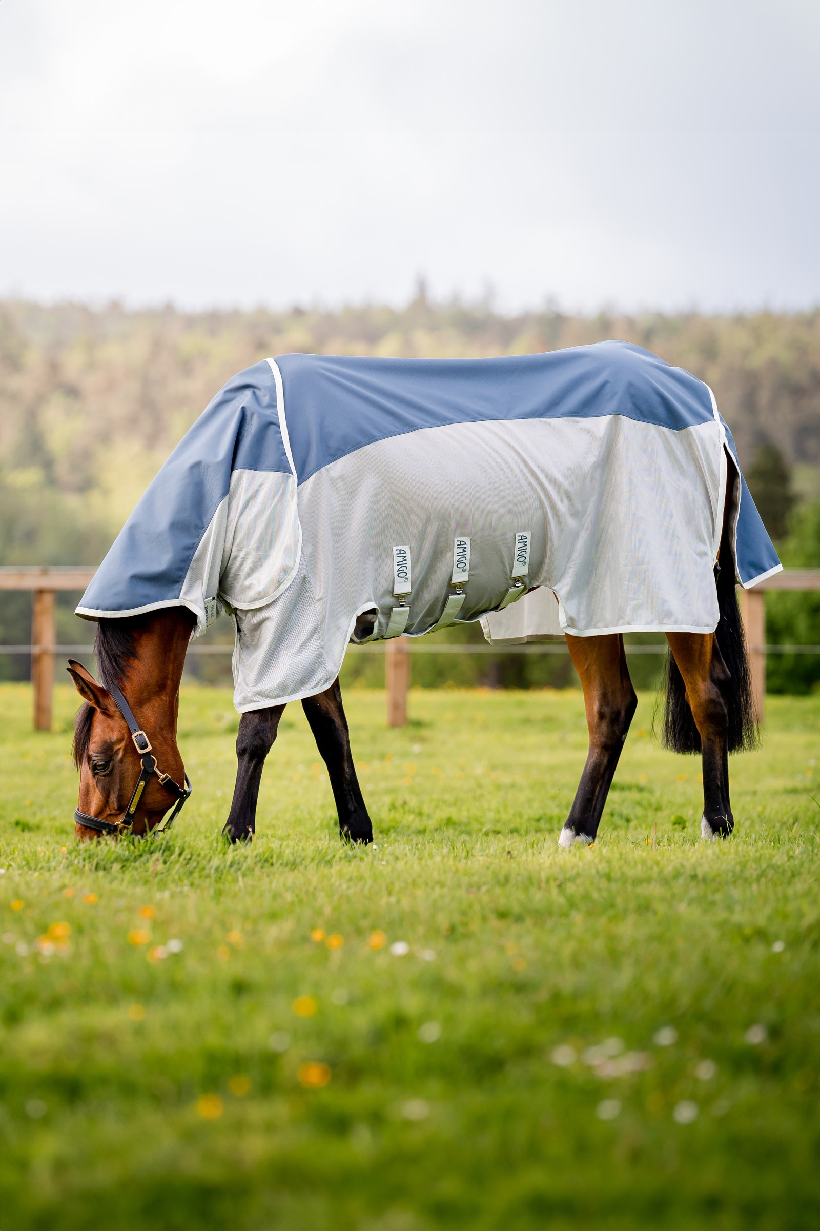 Horseware Amigo AmEco Combi couverture anti-mouches