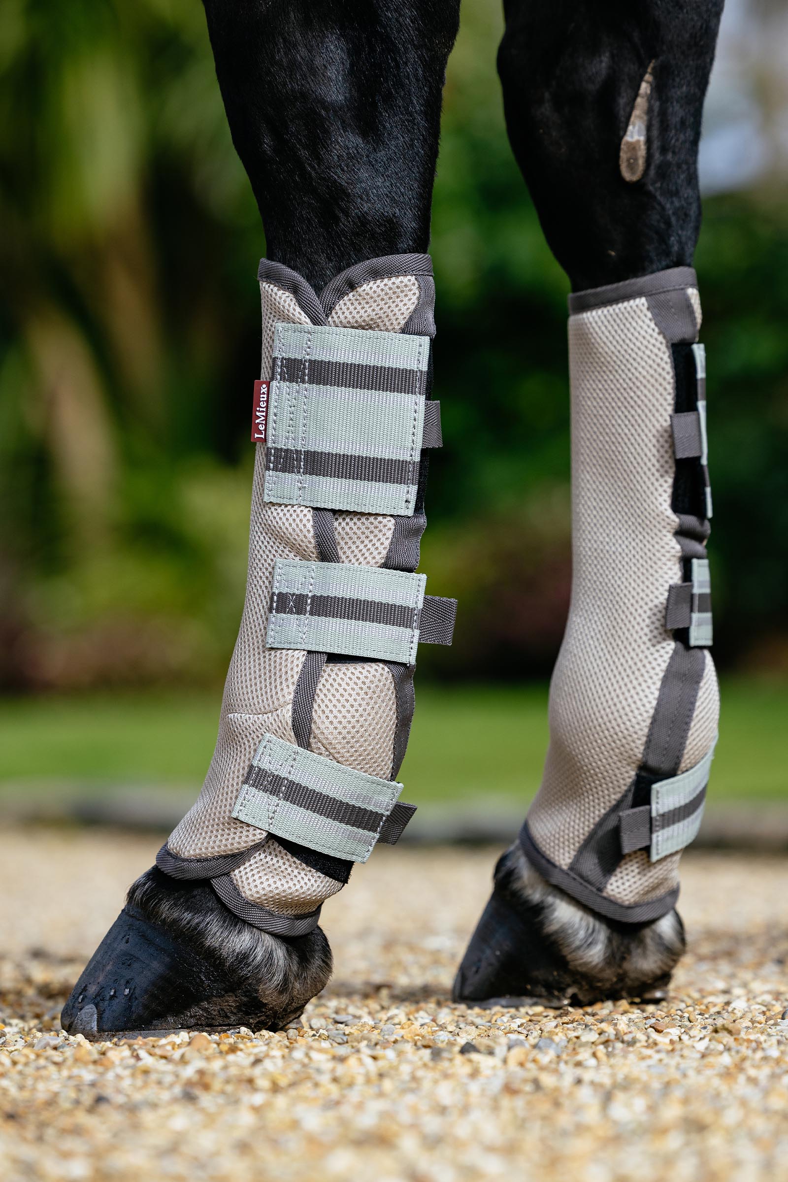 LeMieux Arika gu&ecirc;tres anti-mouches en mesh lot de 4