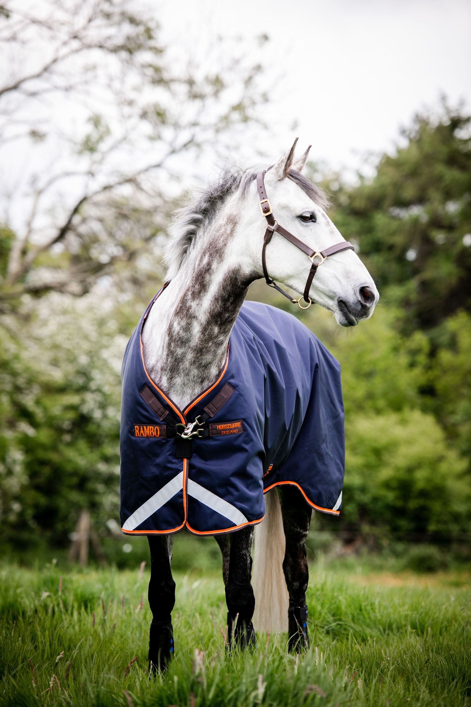 Couverture d'ext&eacute;rieur Horseware Rambo Original avec soufflets d'aisance, 100 g