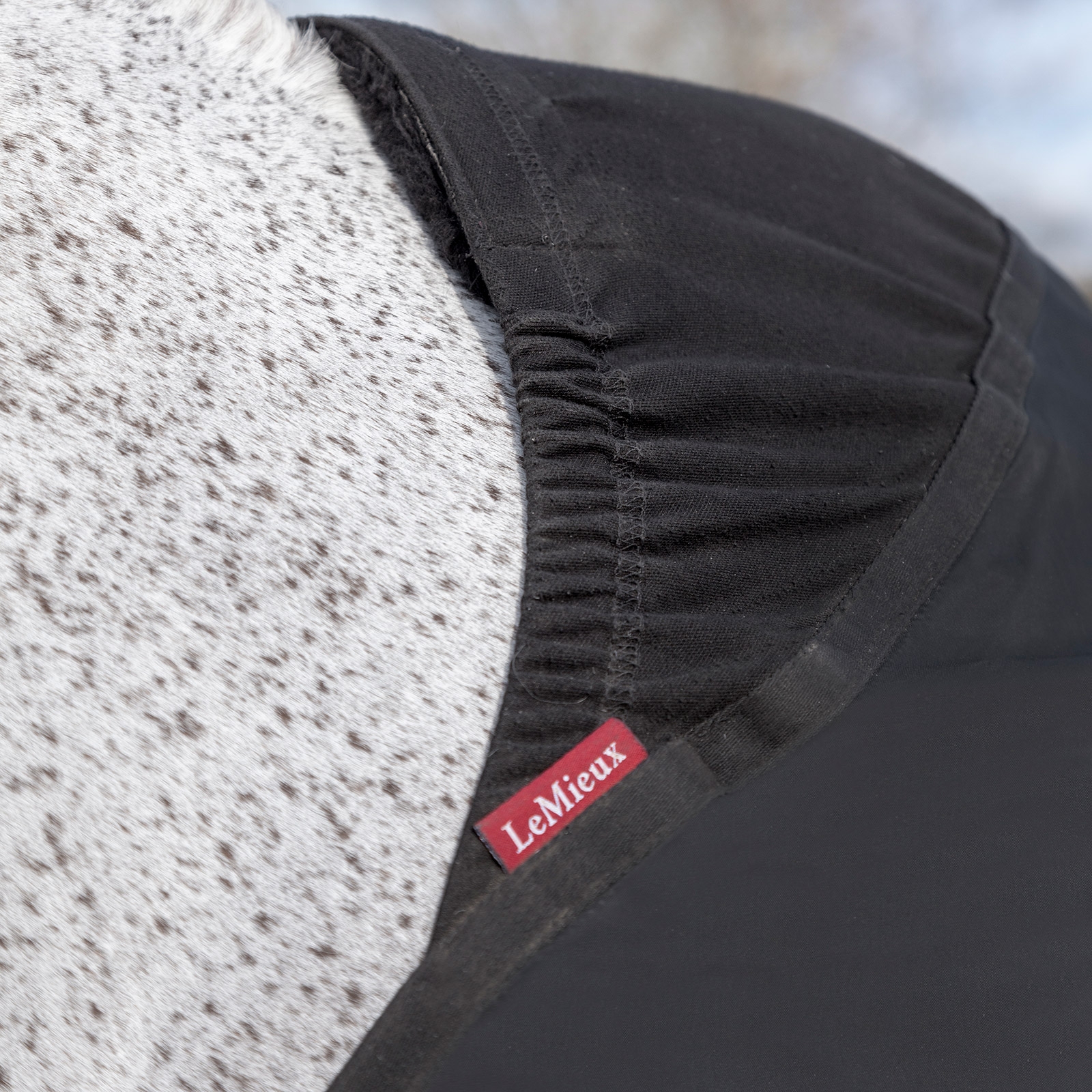 Protège-épaules LeMieux