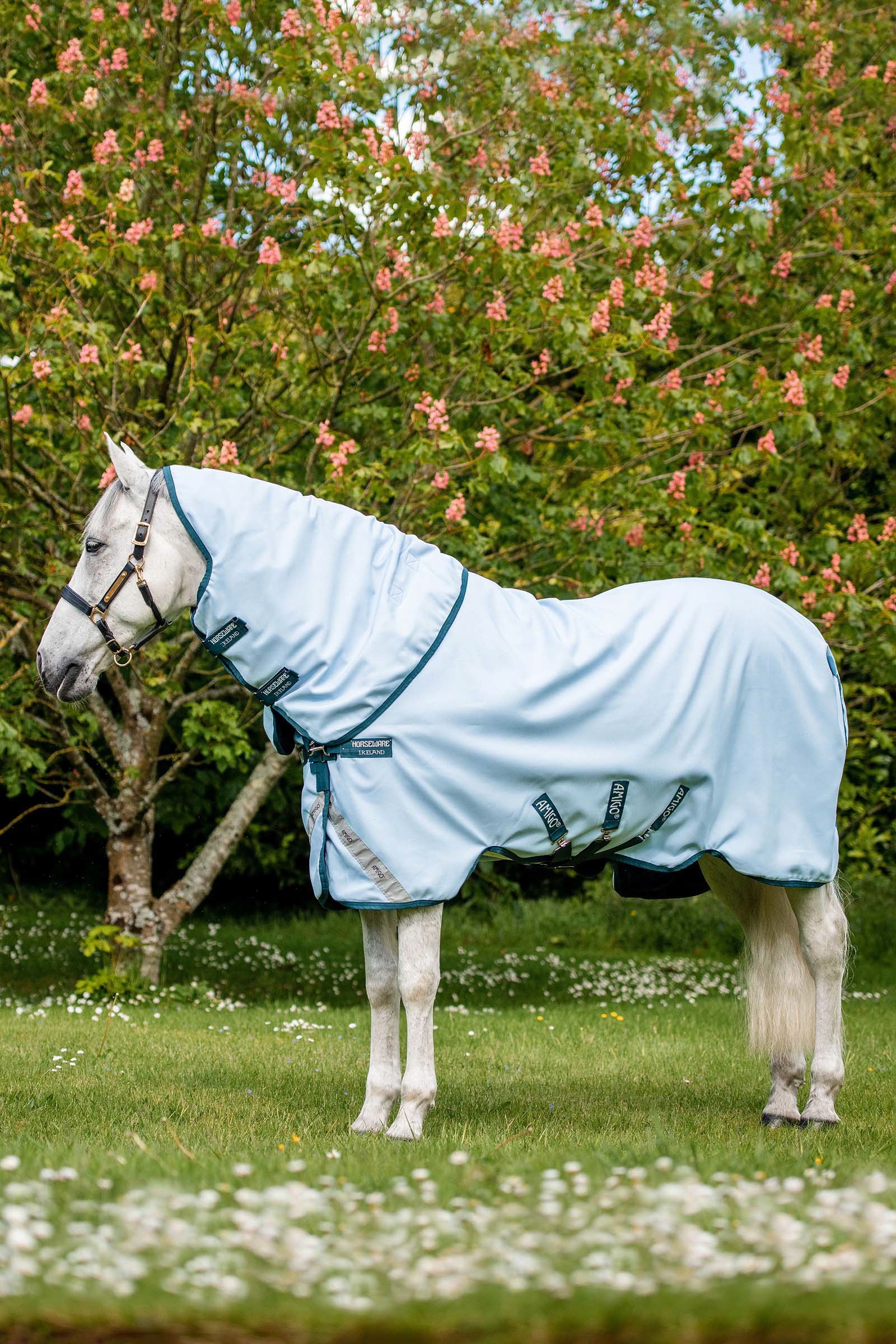 Tapis d'ext&eacute;rieur Horseware Amigo Teinture plantes, 50 g