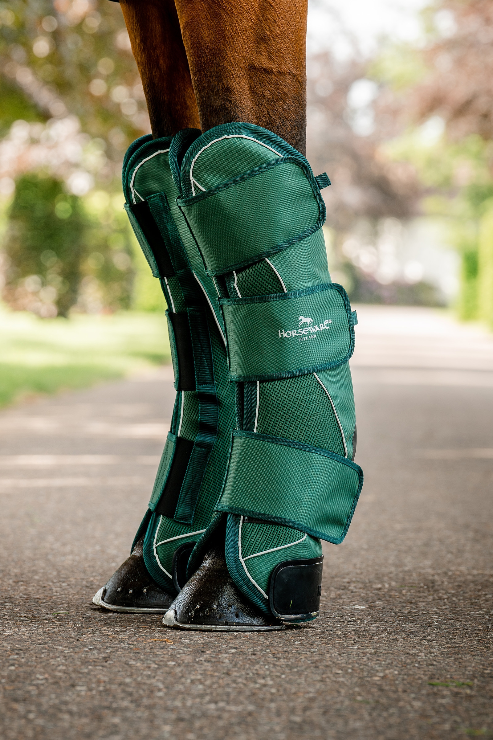 Horseware Signature Guêtres de Transport