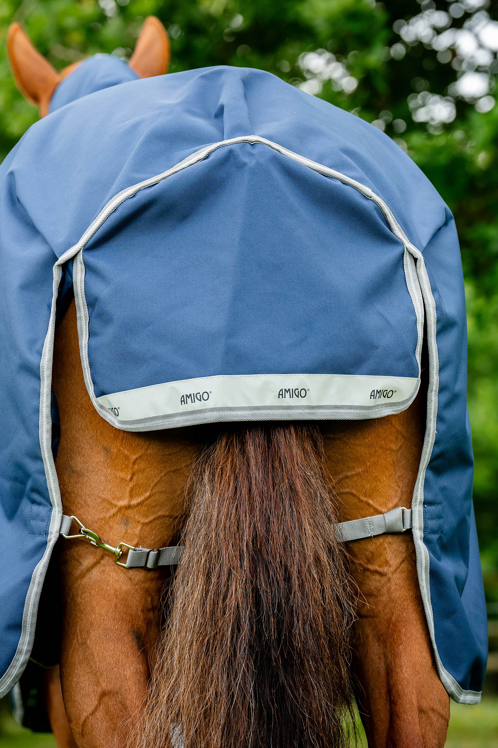 Horseware Amigo 1200D couverture d&rsquo;ext&eacute;rieur, 50 g