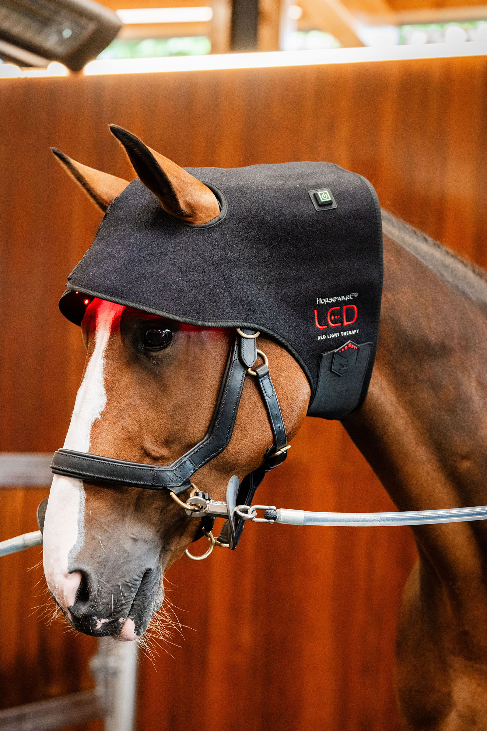 Horseware bonnet th&eacute;rapeutique LED &agrave; lumi&egrave;re rouge pour la nuque
