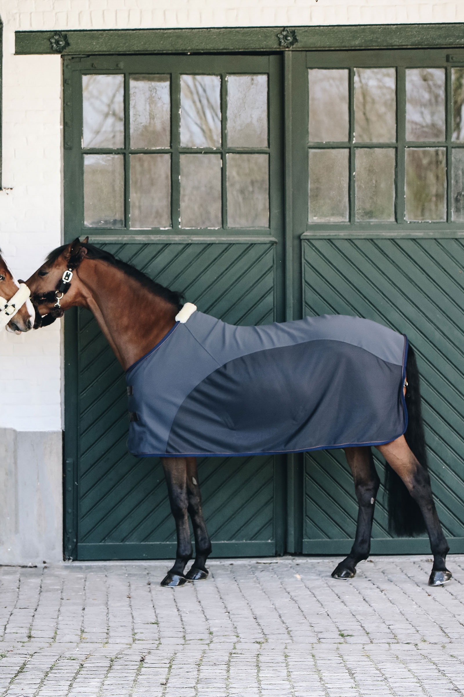 S&eacute;chante Softshell Kentucky Horsewear