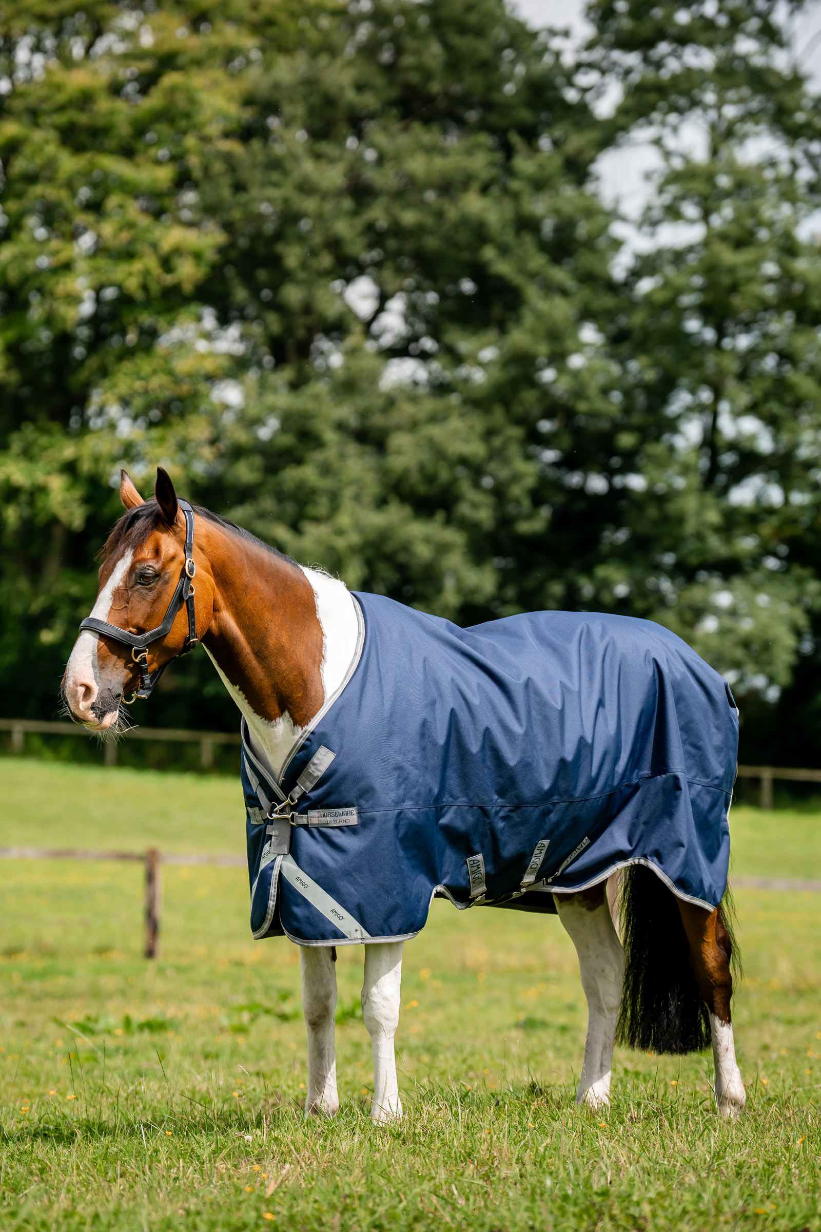Horseware Amigo 1200D couverture d&rsquo;ext&eacute;rieur, 250 g