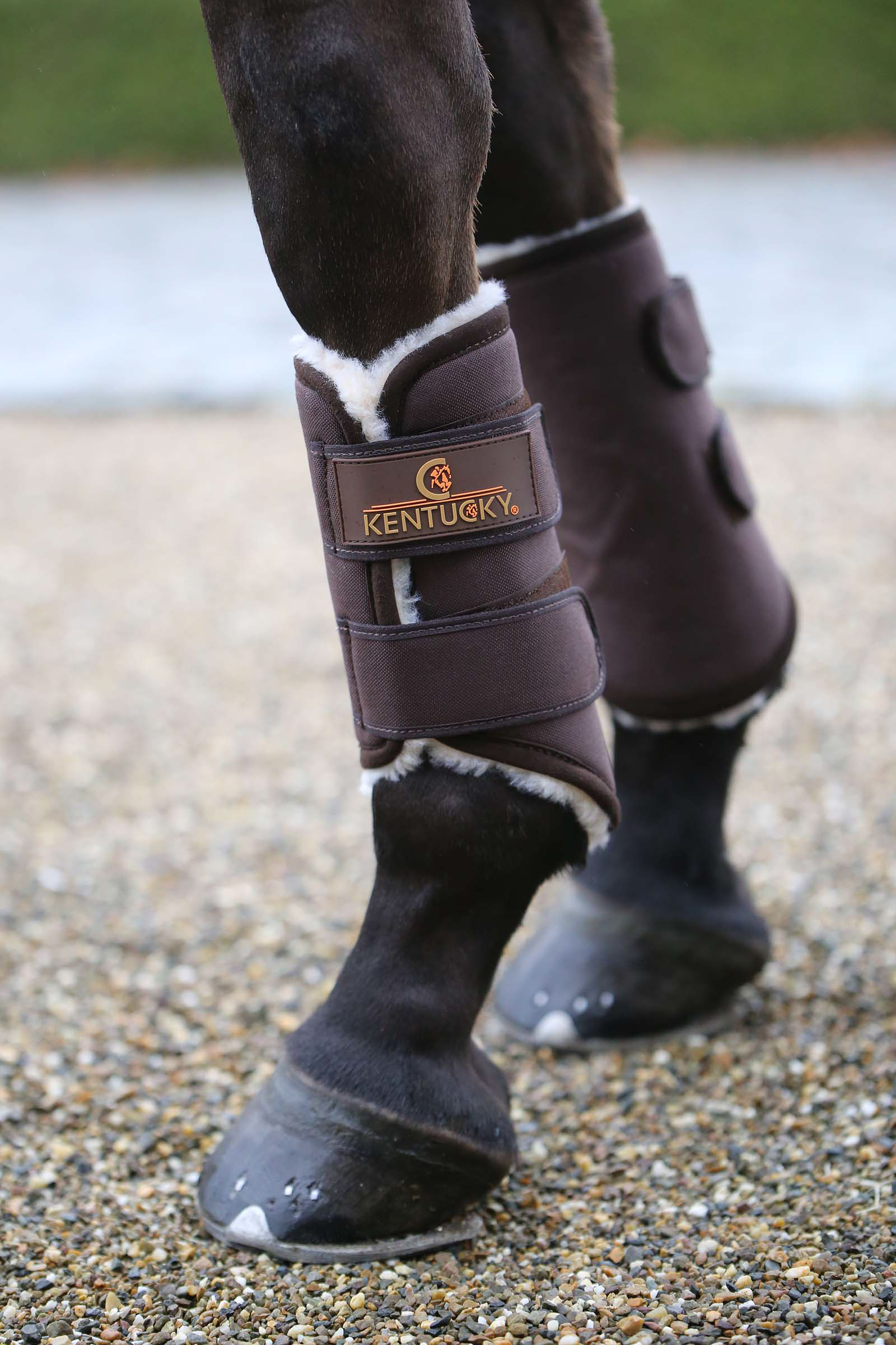 Brown Gu&ecirc;tres de comp&eacute;tition Kentucky Horsewear Solimbra, post&eacute;rieur