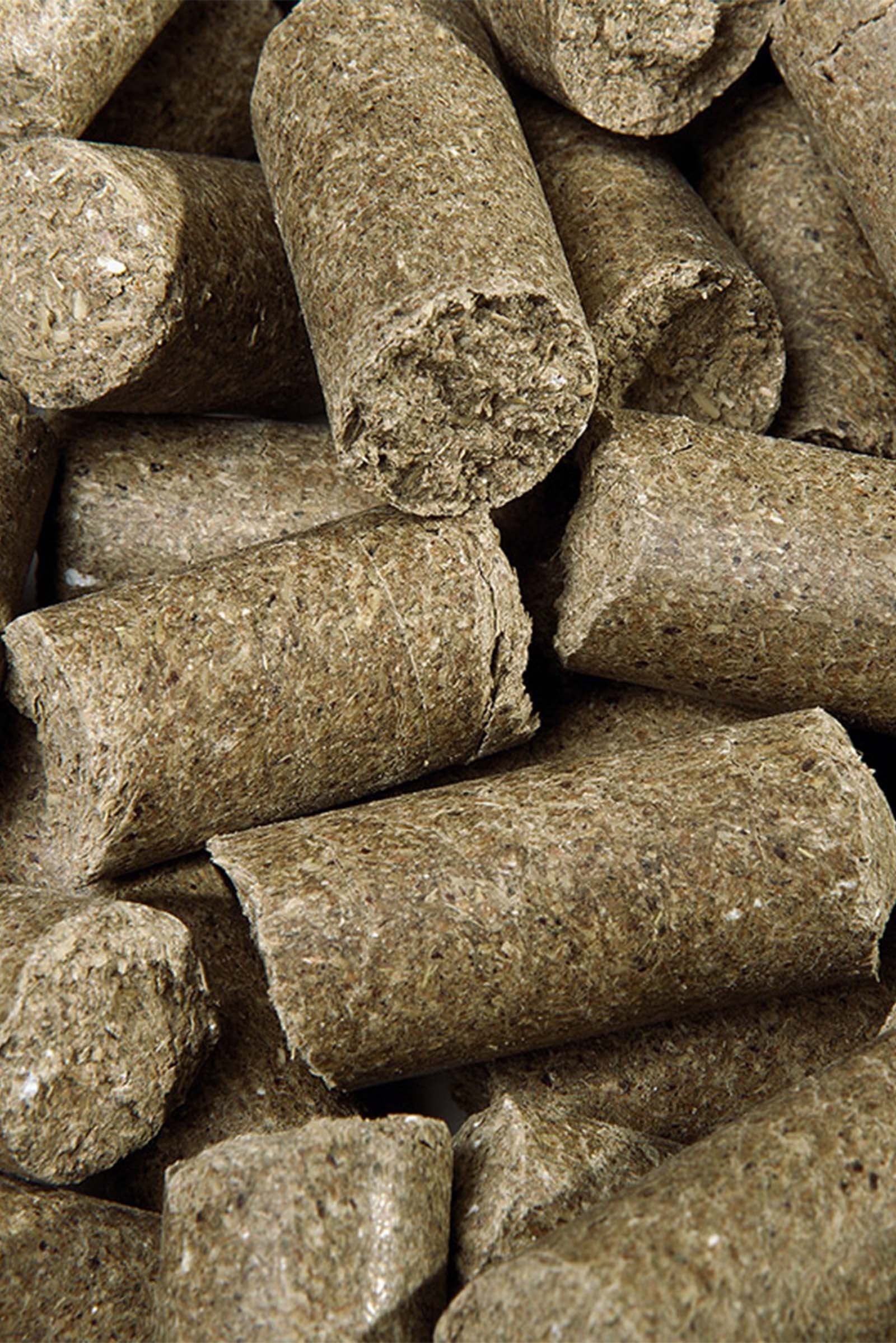 Speed Eucalyptus Délicieux Speedies, Friandises, 5 kg