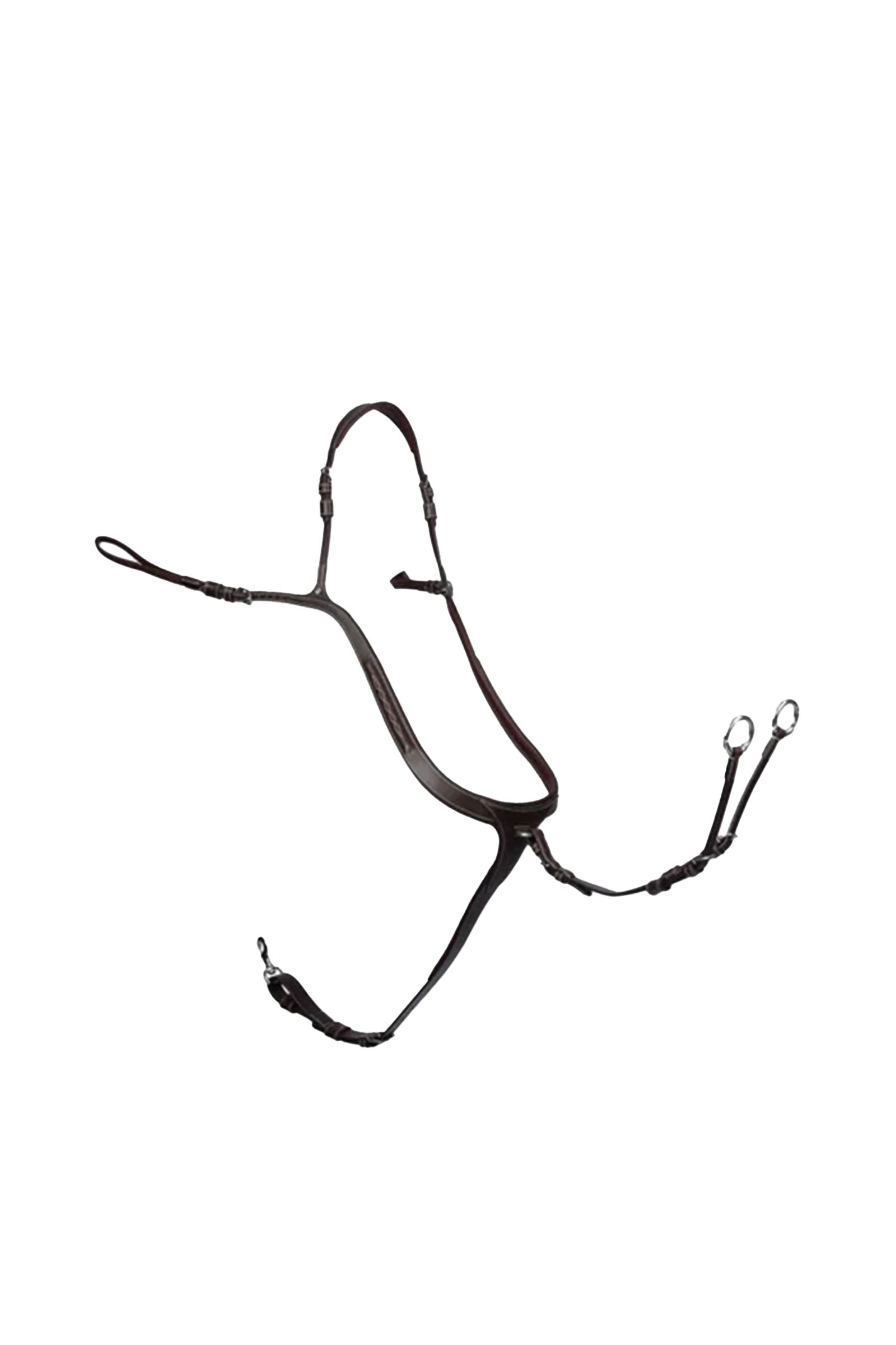 PS of Sweden poitrail Tokyo