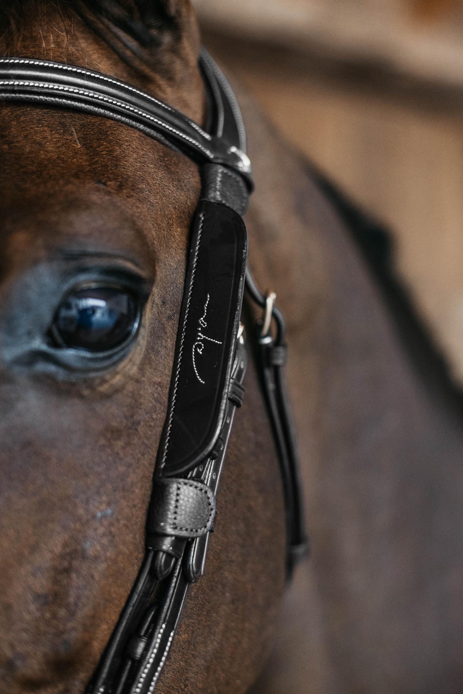 Dy'on &oelig;ill&egrave;res avec surpiq&ucirc;res d&eacute;coratives  