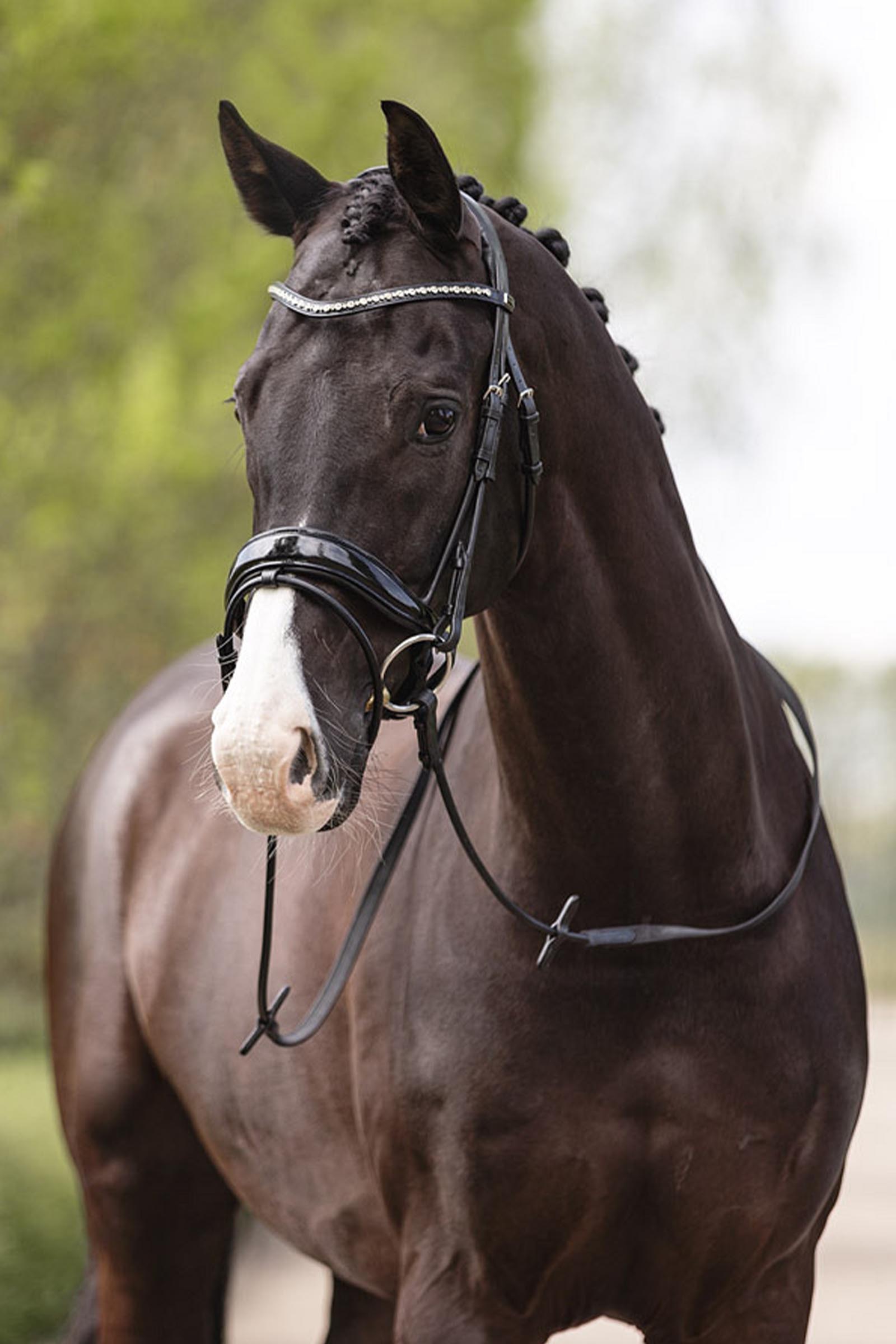 ANKY Anatomic Comfort Fit Bridon avec double pull back