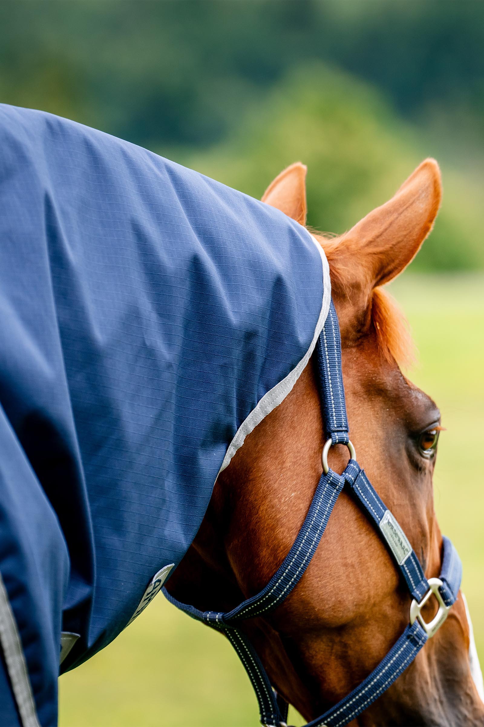 Horseware Amigo Ripstop 900D Plus couverture d&rsquo;ext&eacute;rieur, 200 g