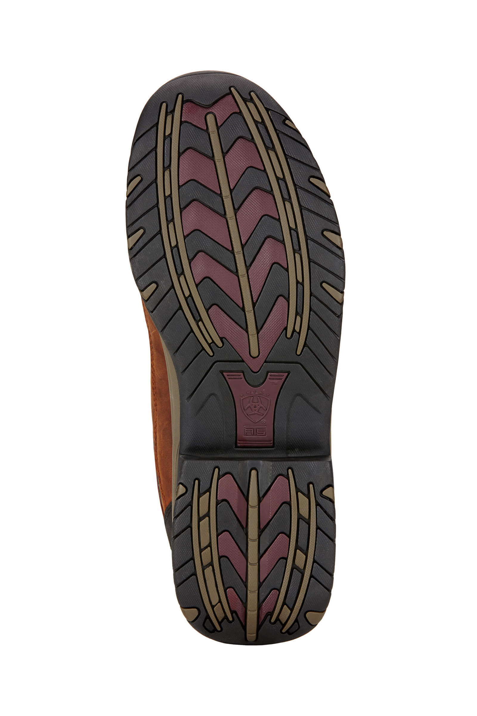 Bottes d'écurie Ariat Telluride II H20 pour homme