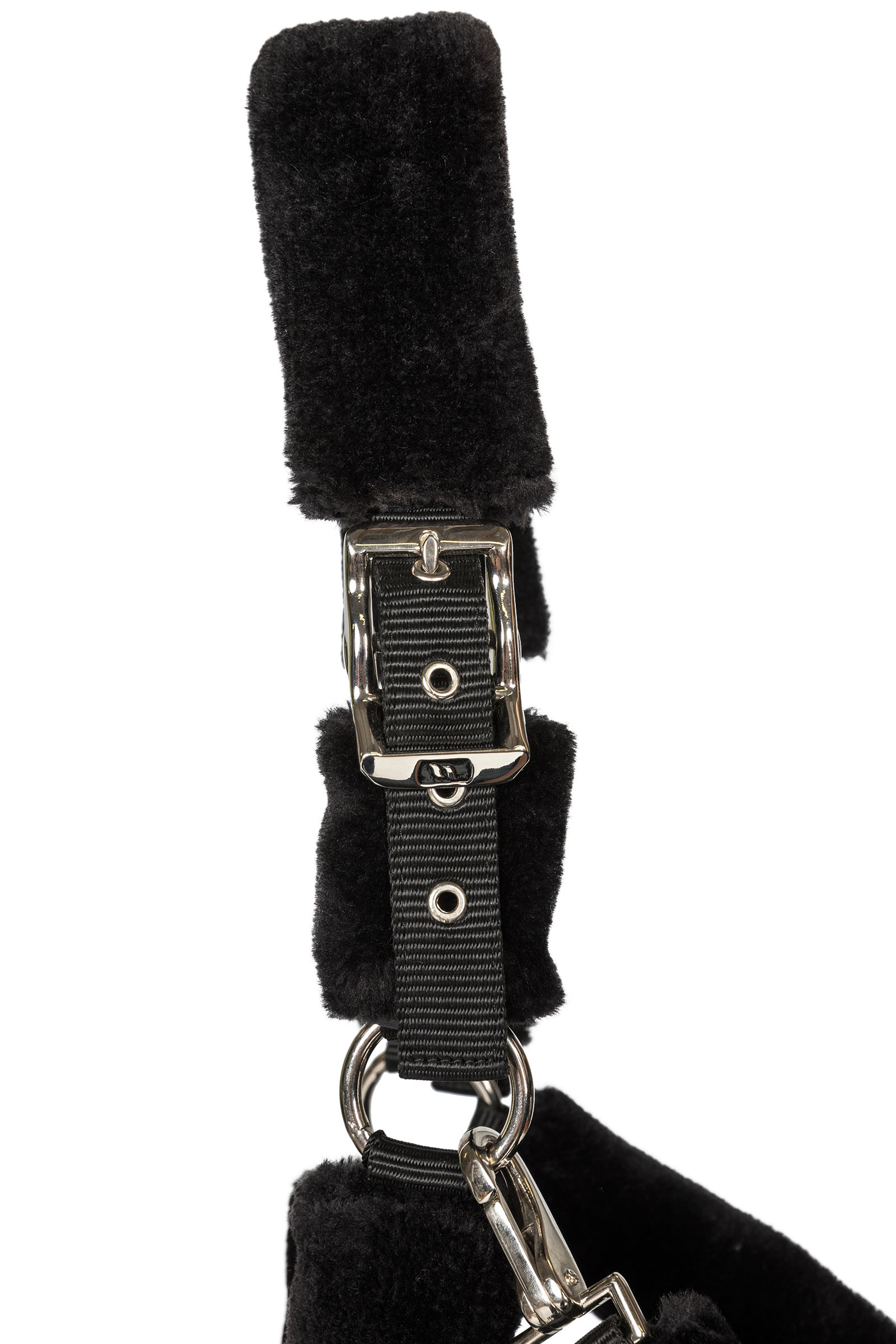 Back on Track Audrey licol