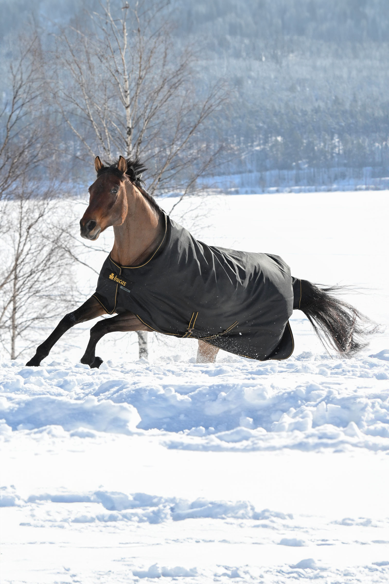 Bucas Irish couverture d'extérieur, 300g