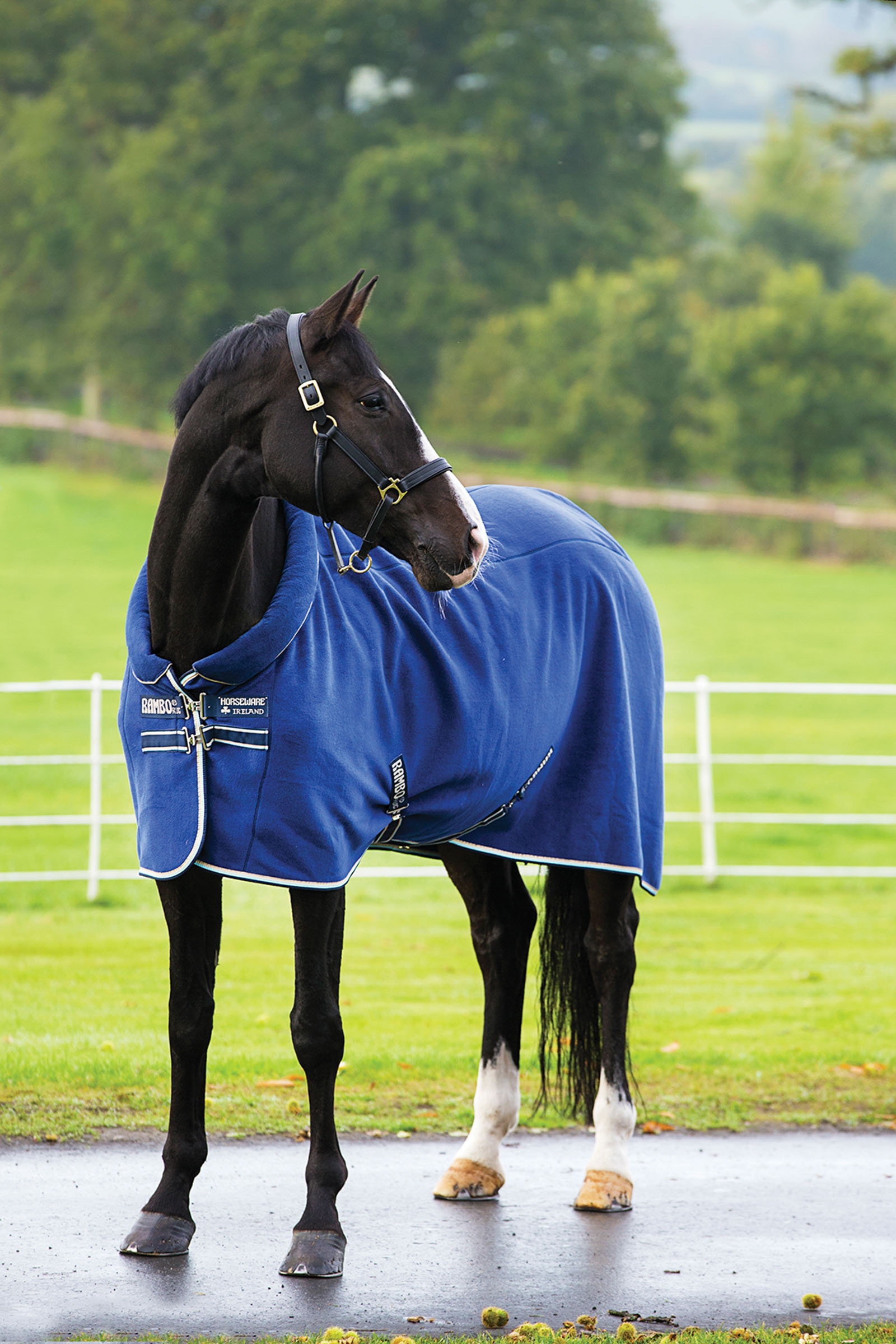 Chemise polaire Rambo Horseware