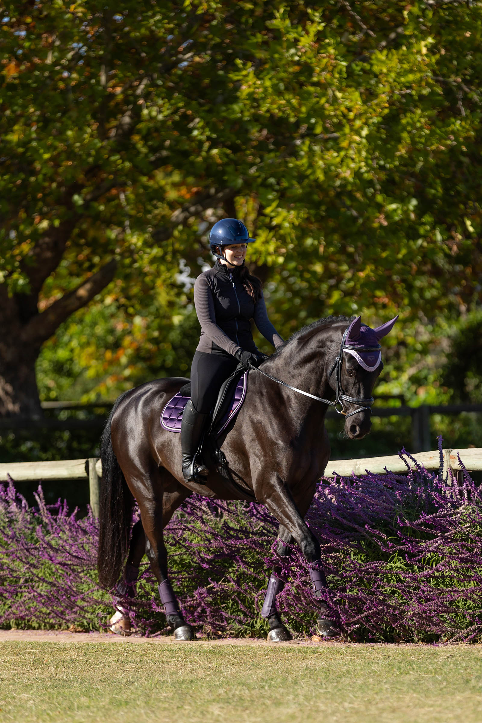 LeMieux Merino+ Loire tapis de selle classique Close Contact