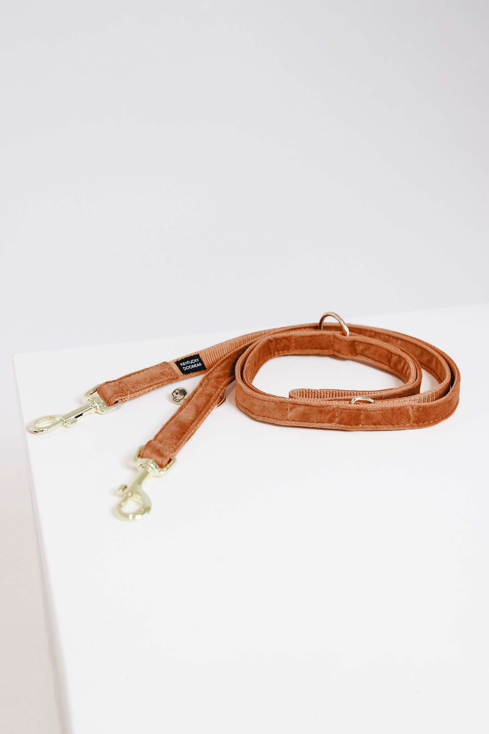 OR/B Laisse en Velours pour Chien Kentucky Dogwear, 200 cm