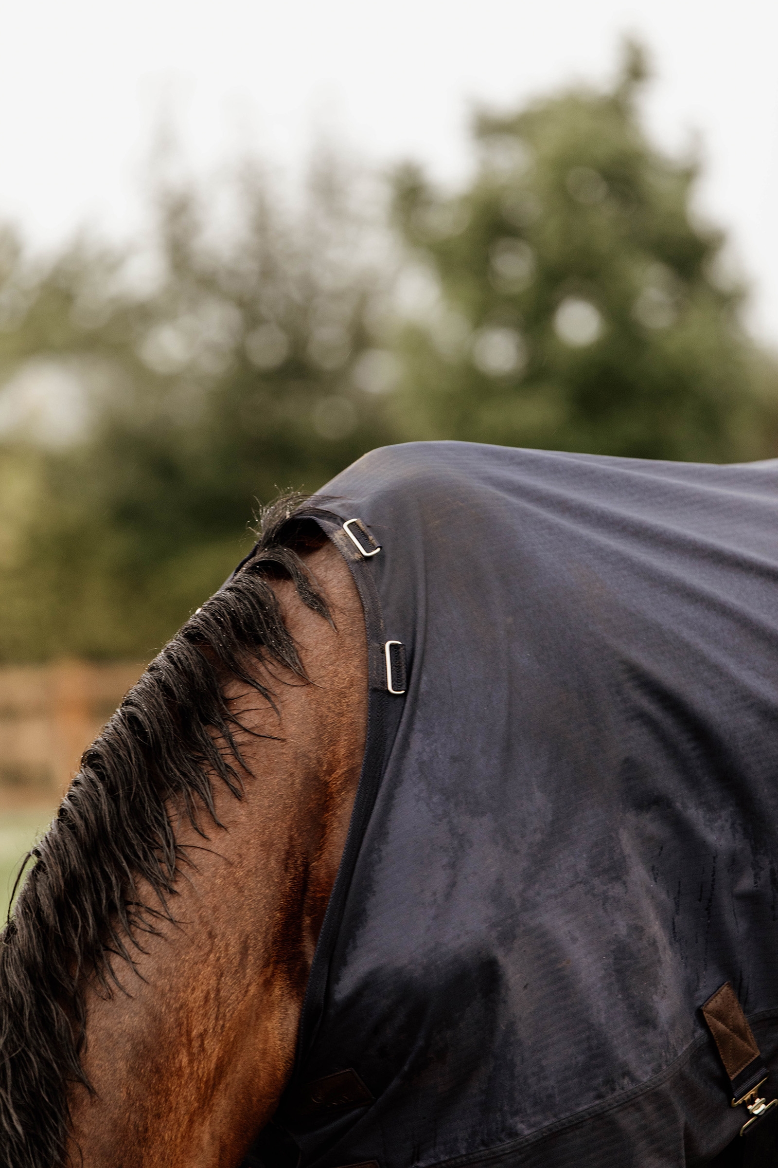 Couverture de Paddock Kentucky Horsewear 300gr