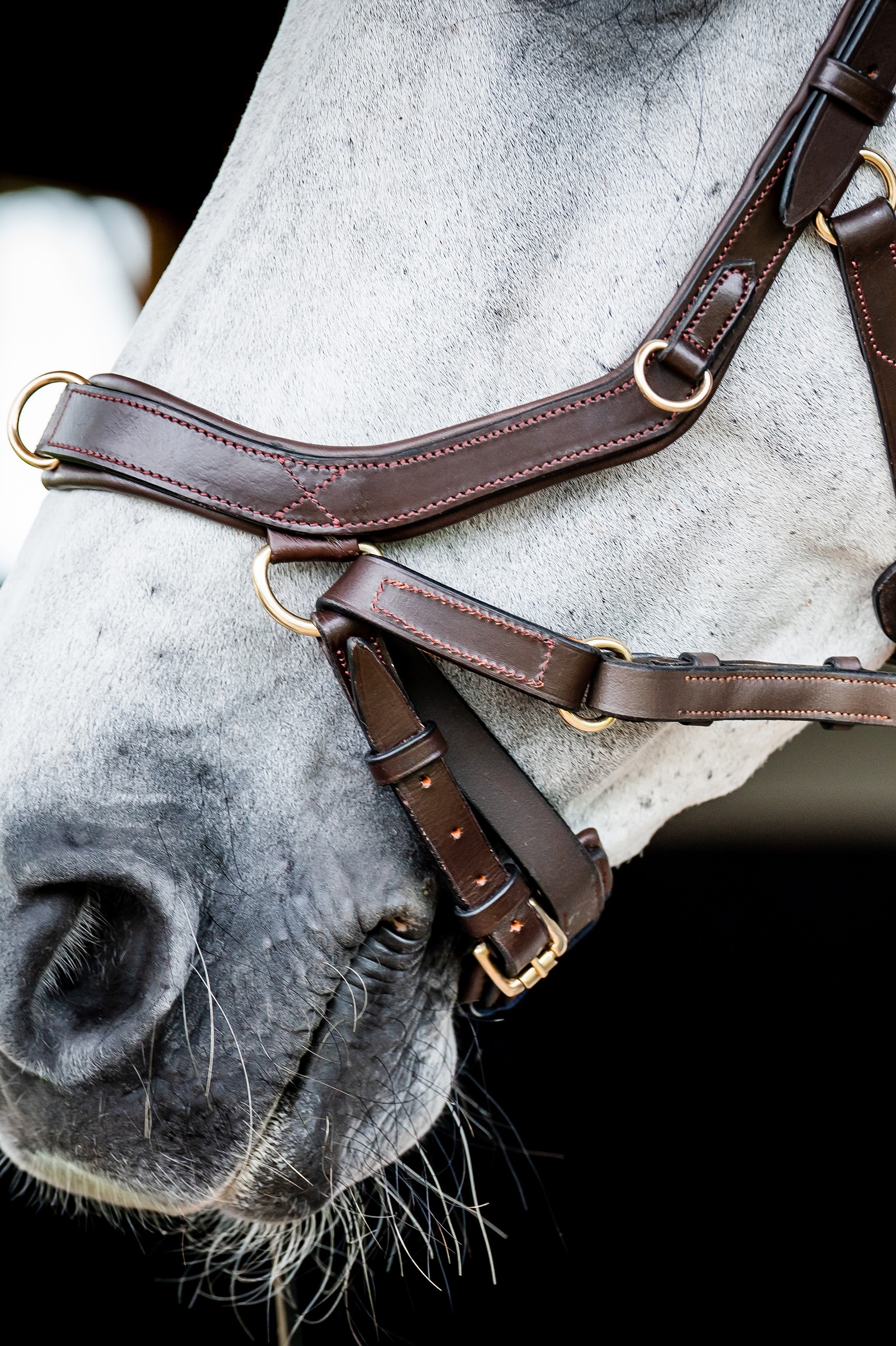 Horseware Micklem 2 Multi Bride