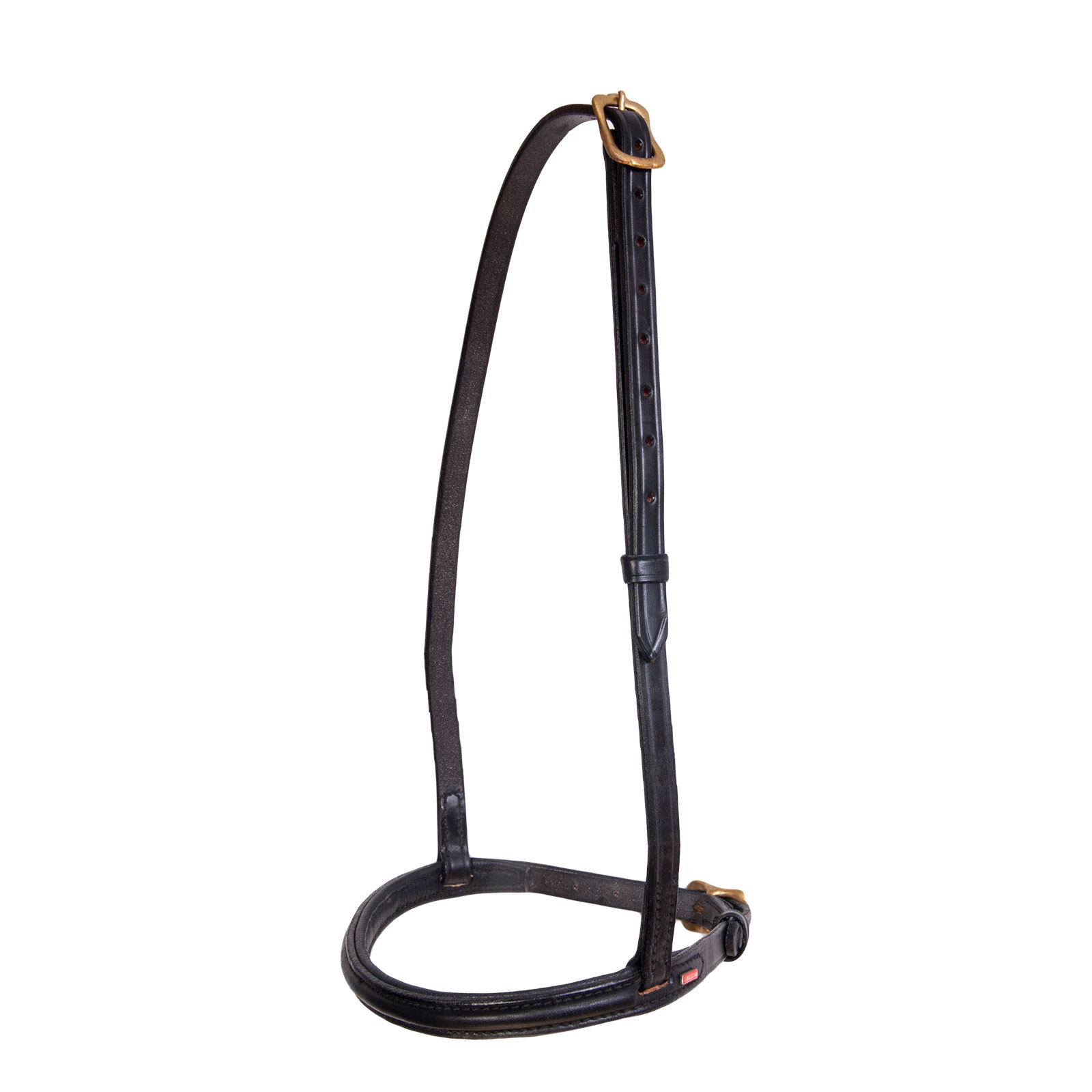 Muserolle anglaise Iceland Karlslund