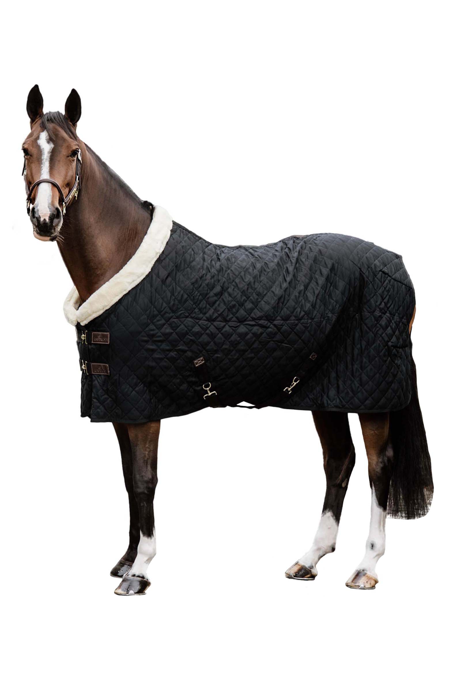Kentucky Couverture de PrésentationHorsewear 160g