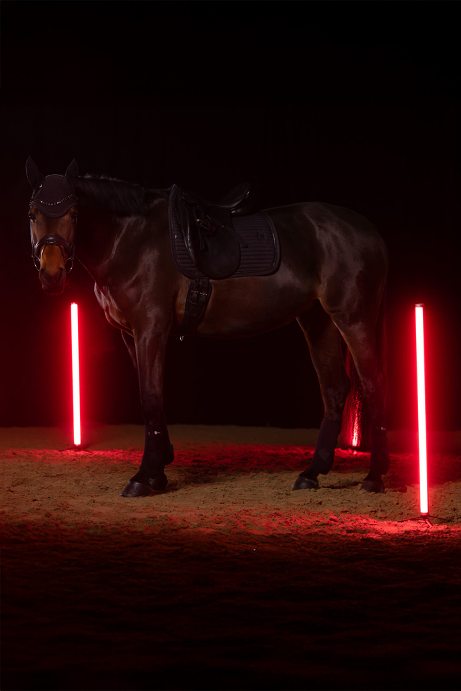 Eskadron Dynamics AW25 tapis de selle de dressage Sparkle Crystal