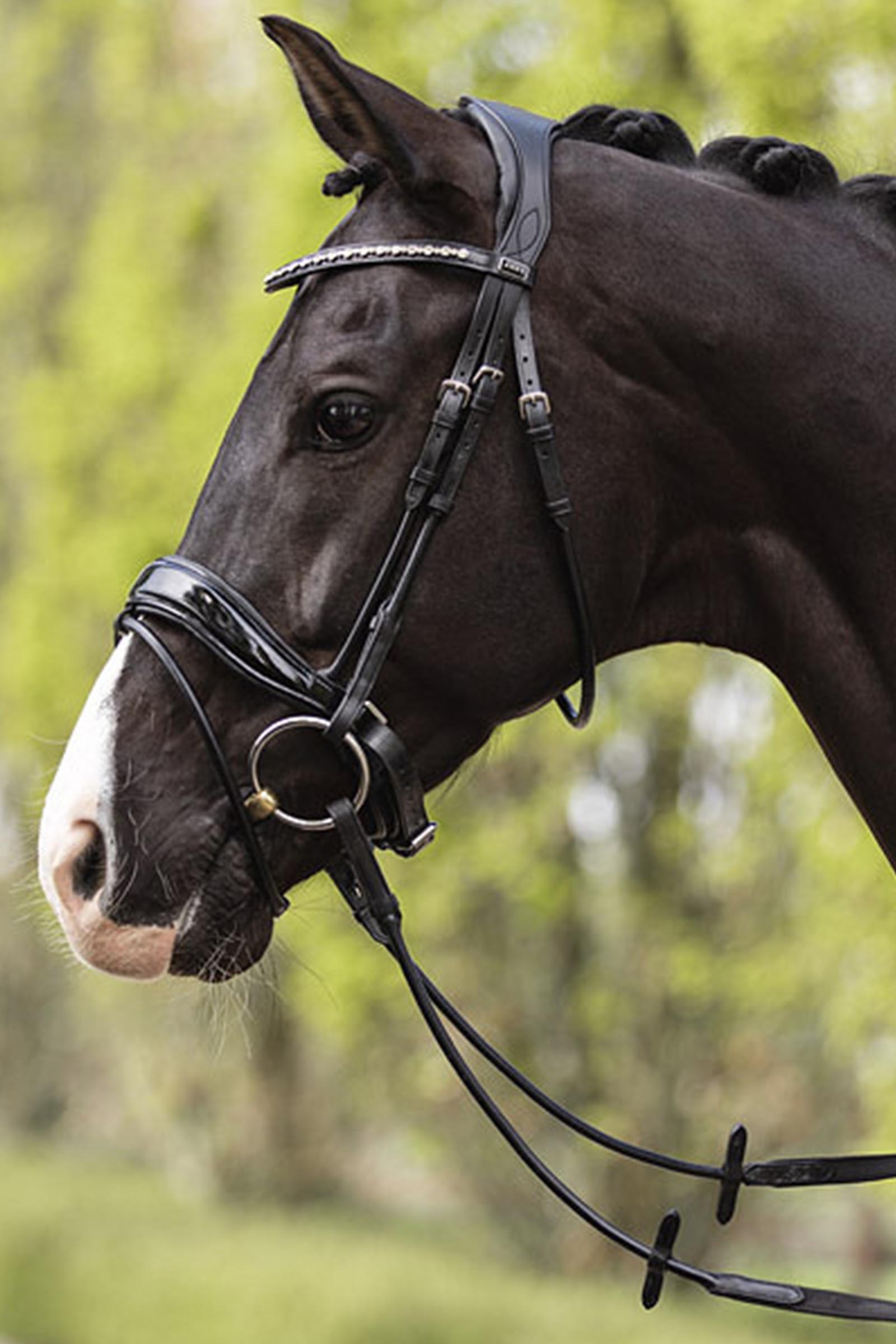 ANKY Anatomic Comfort Fit Bridon avec double pull back