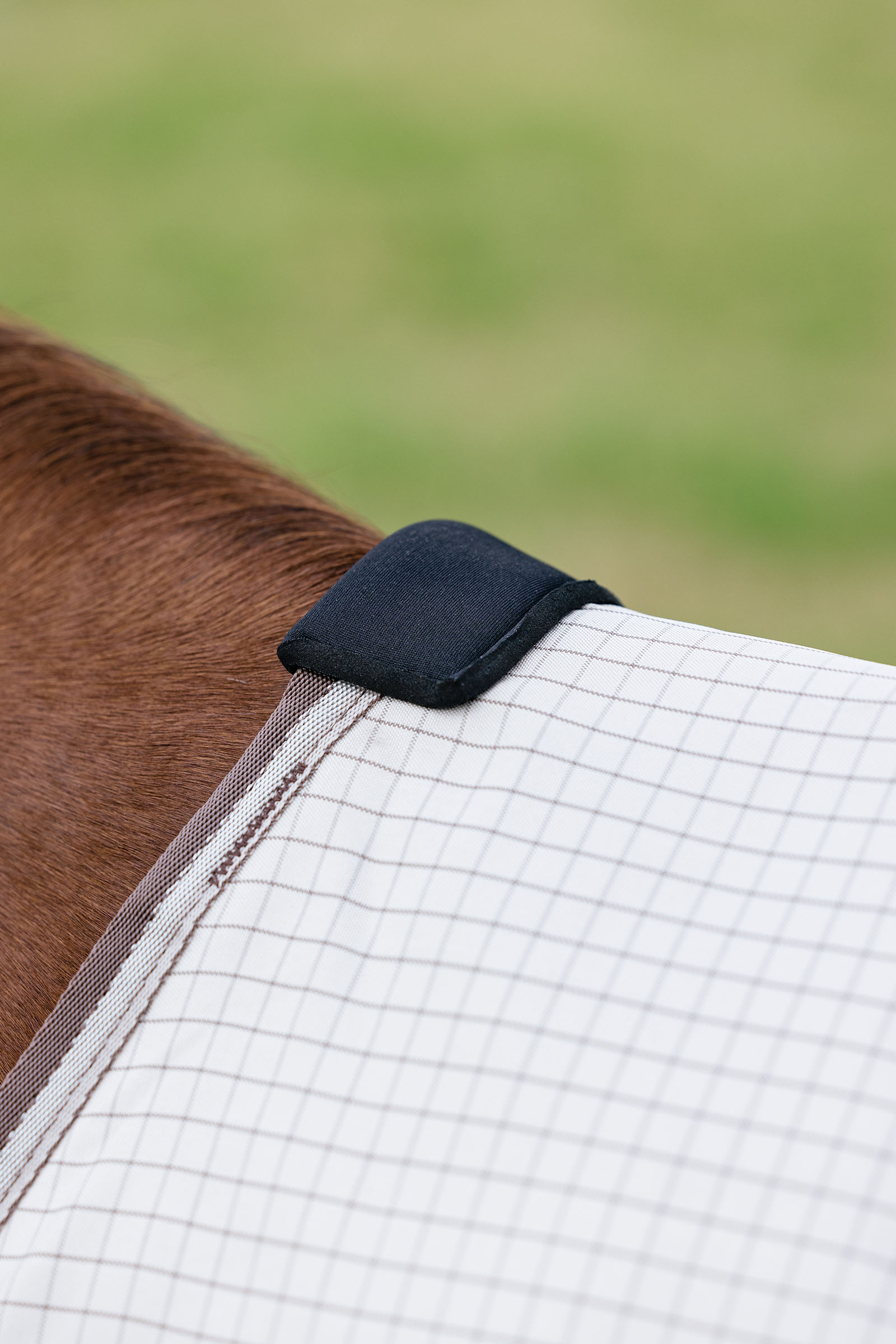 LeMieux Arika 450D Sunstopper couverture d'ext&eacute;rieur avec encolure amovible, 0 g