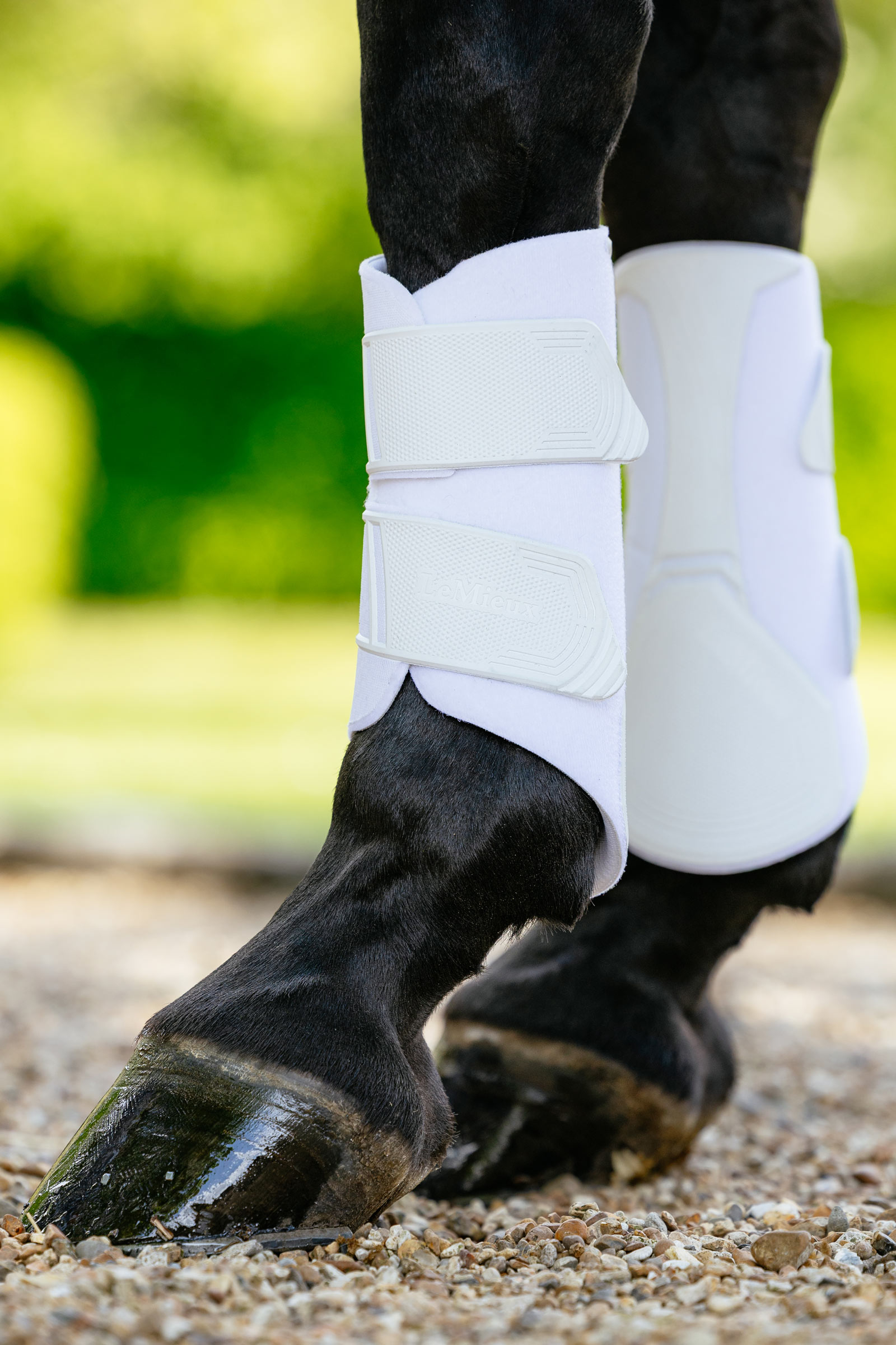 LeMieux Technical guêtres de dressage