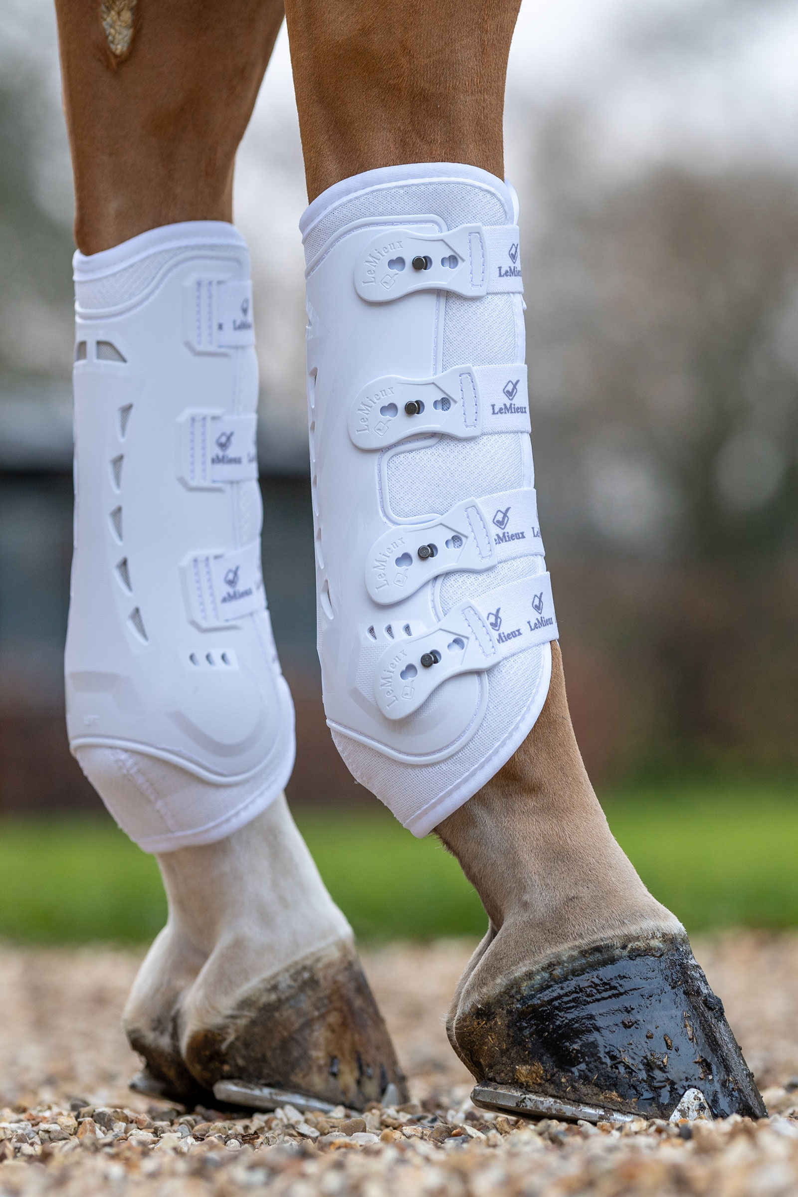 LeMieux Ultra Mesh Snug guêtres postérieures