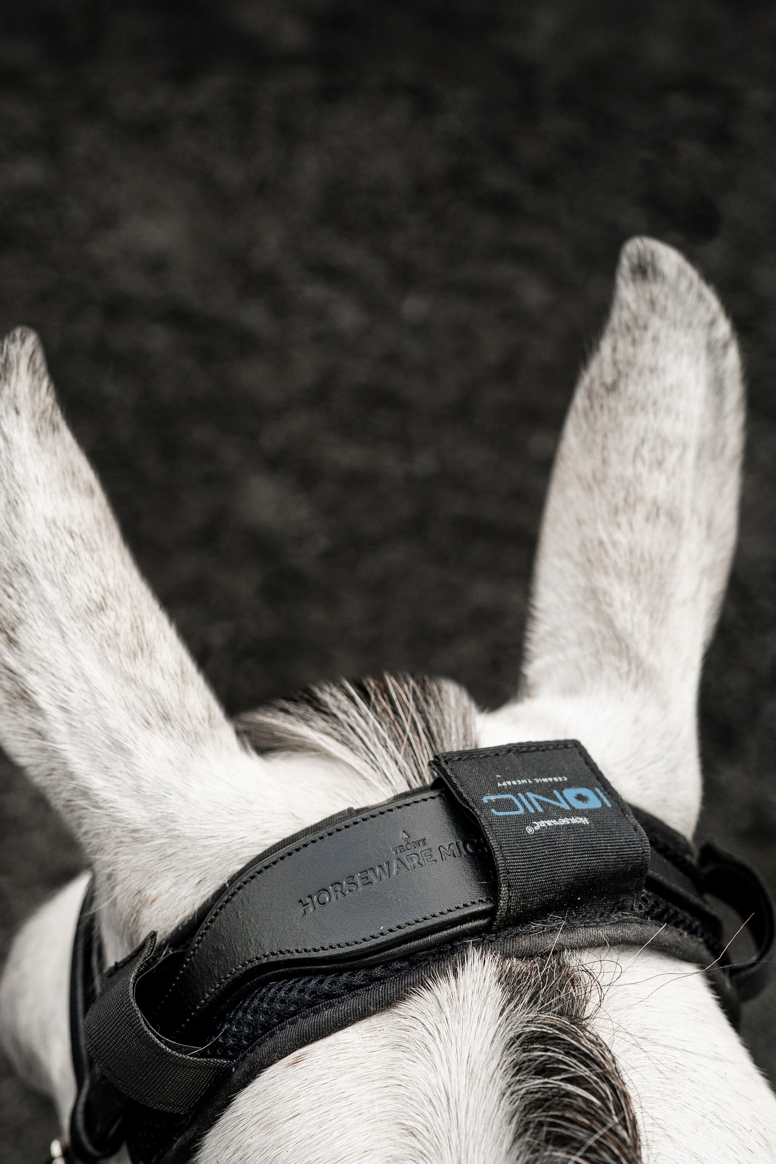 Horseware Ionic couvre-nuque