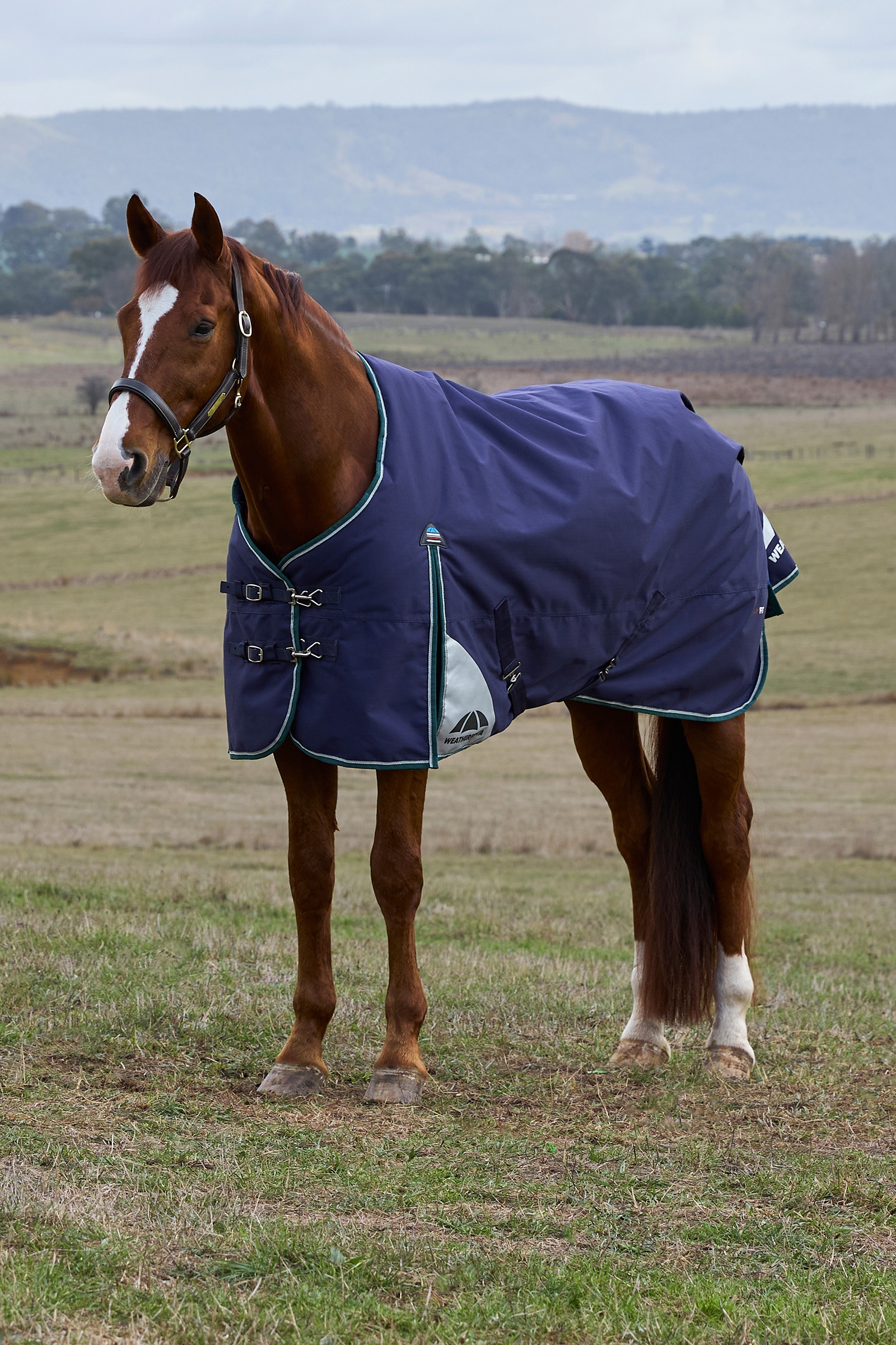 Navy/Forest Green Weatherbeeta ComFiTecPlus Dynamic Couverture d&rsquo;ext&eacute;rieur avec encolure amovible, 100 g  