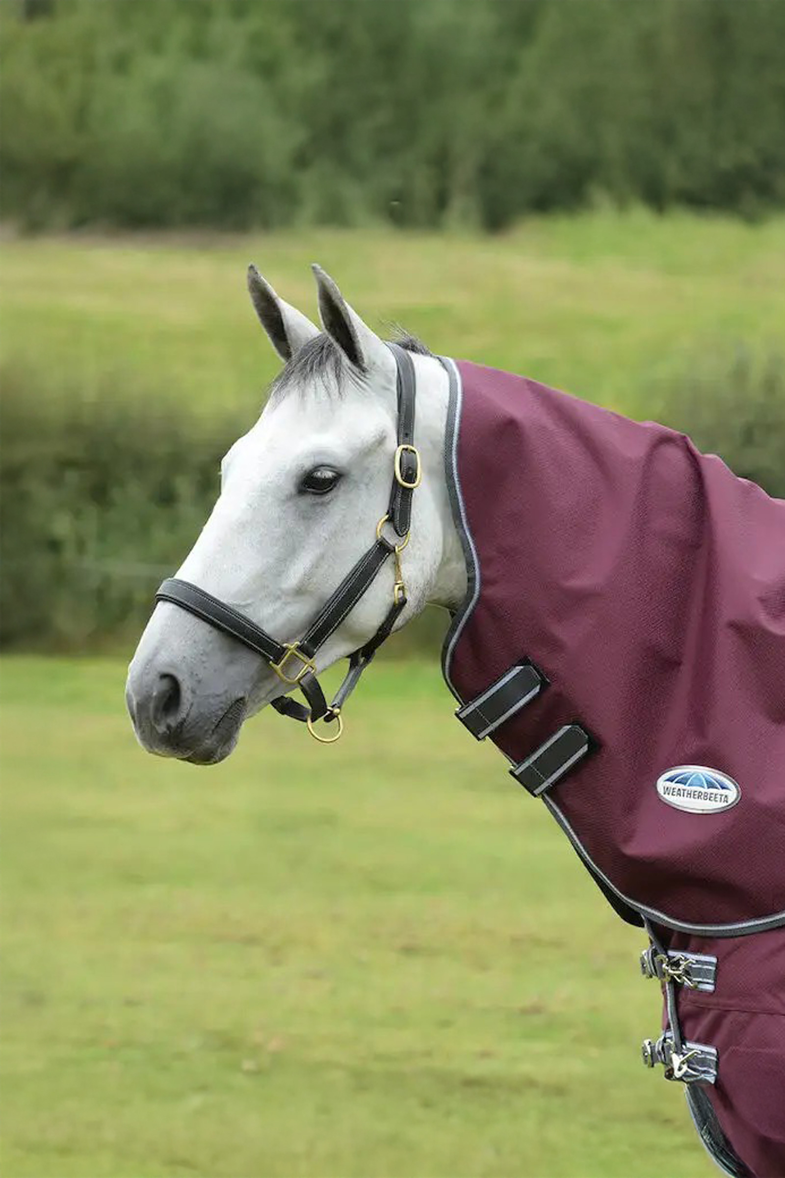 Weatherbeeta Comfitec Plus Dynamic II Medium/Lite Couvre-cou, 100 g