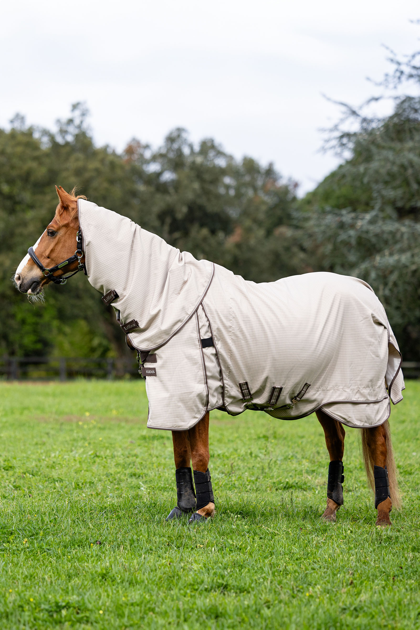 LeMieux Kudos couverture de pr&eacute;