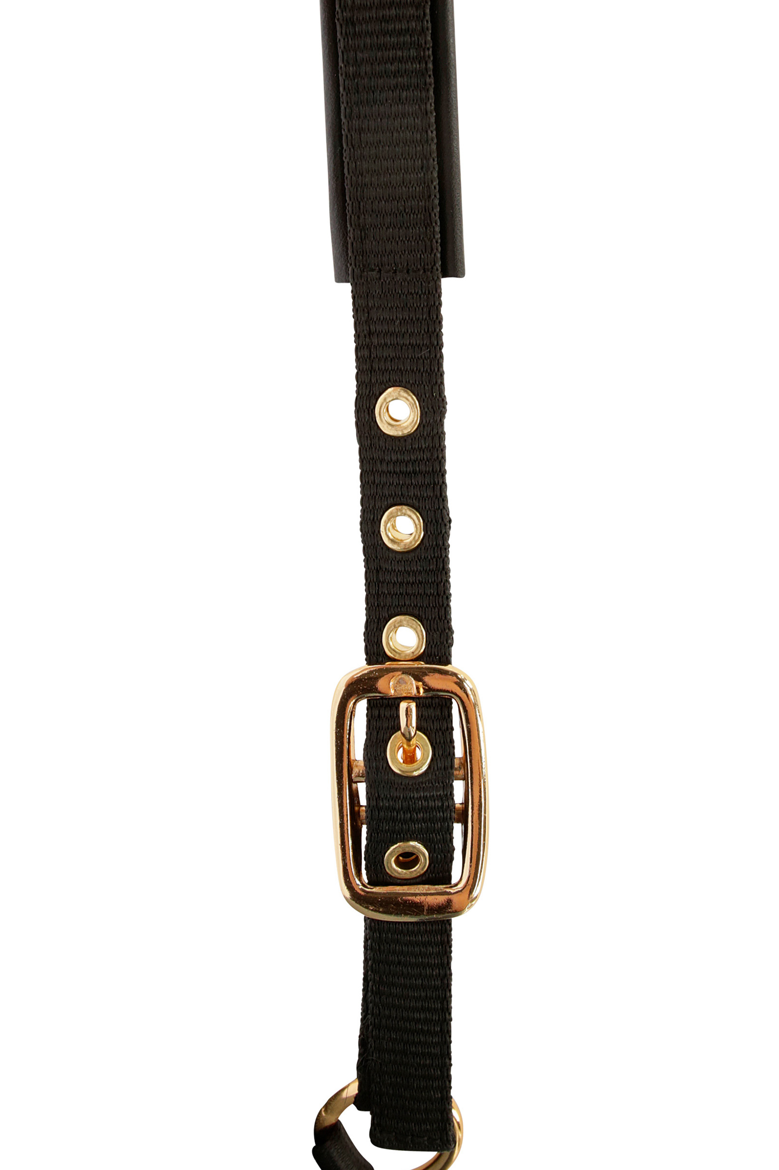 Licol Poulain Covalliero TopLine