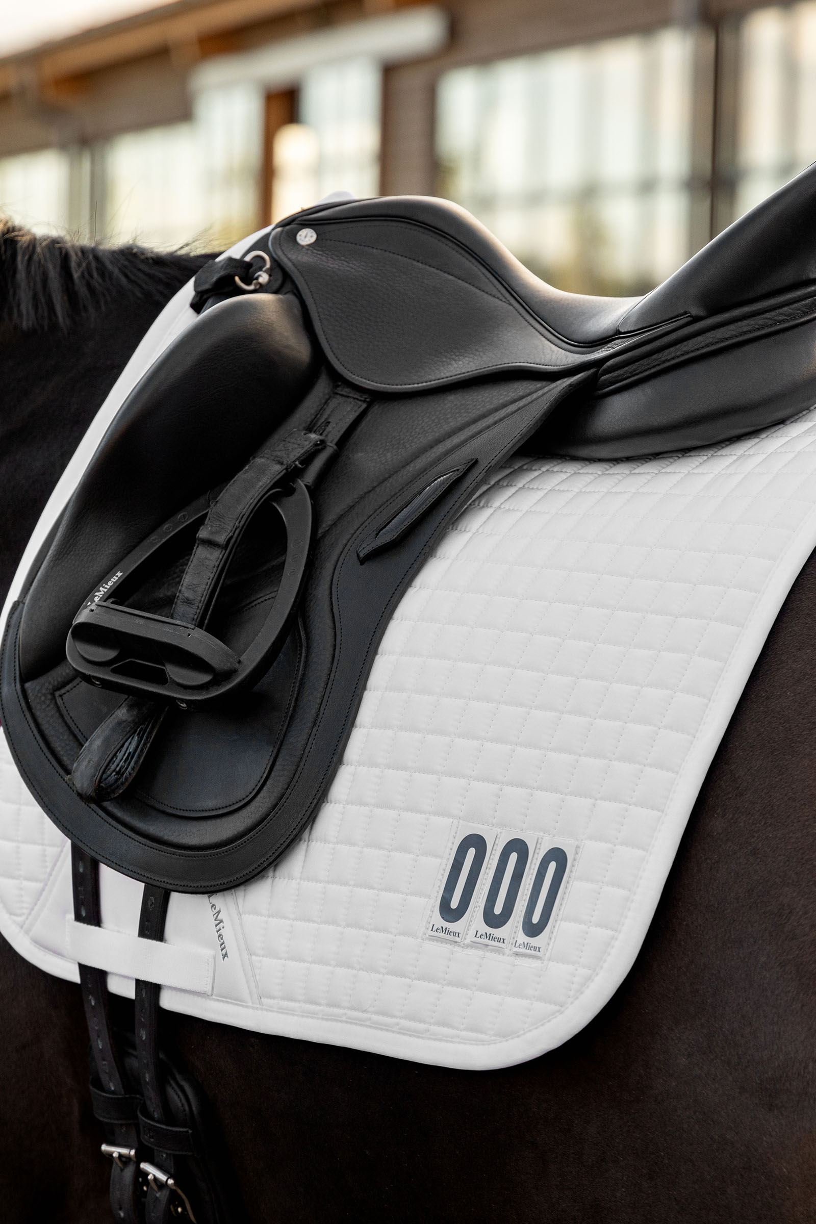 LeMieux Dressage Competition Square tapis de selle dressage