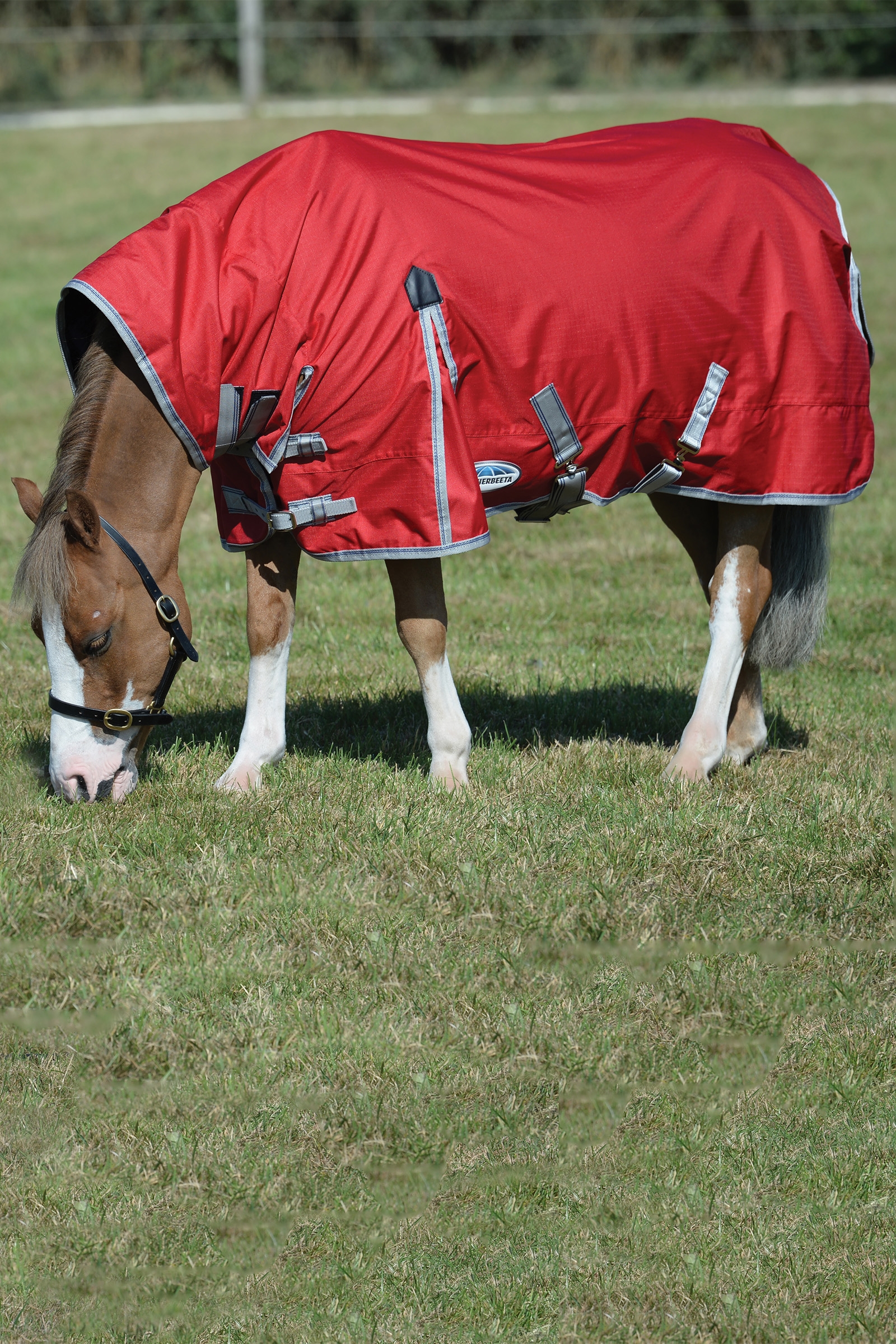 Weatherbeeta Comfitec Classic Couvertures cheval avec encolure intégrée, 50g