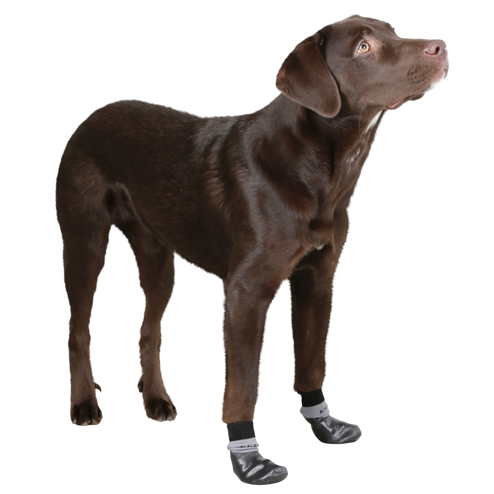 Kerbl Chaussettes pour chien Susi, L-XL