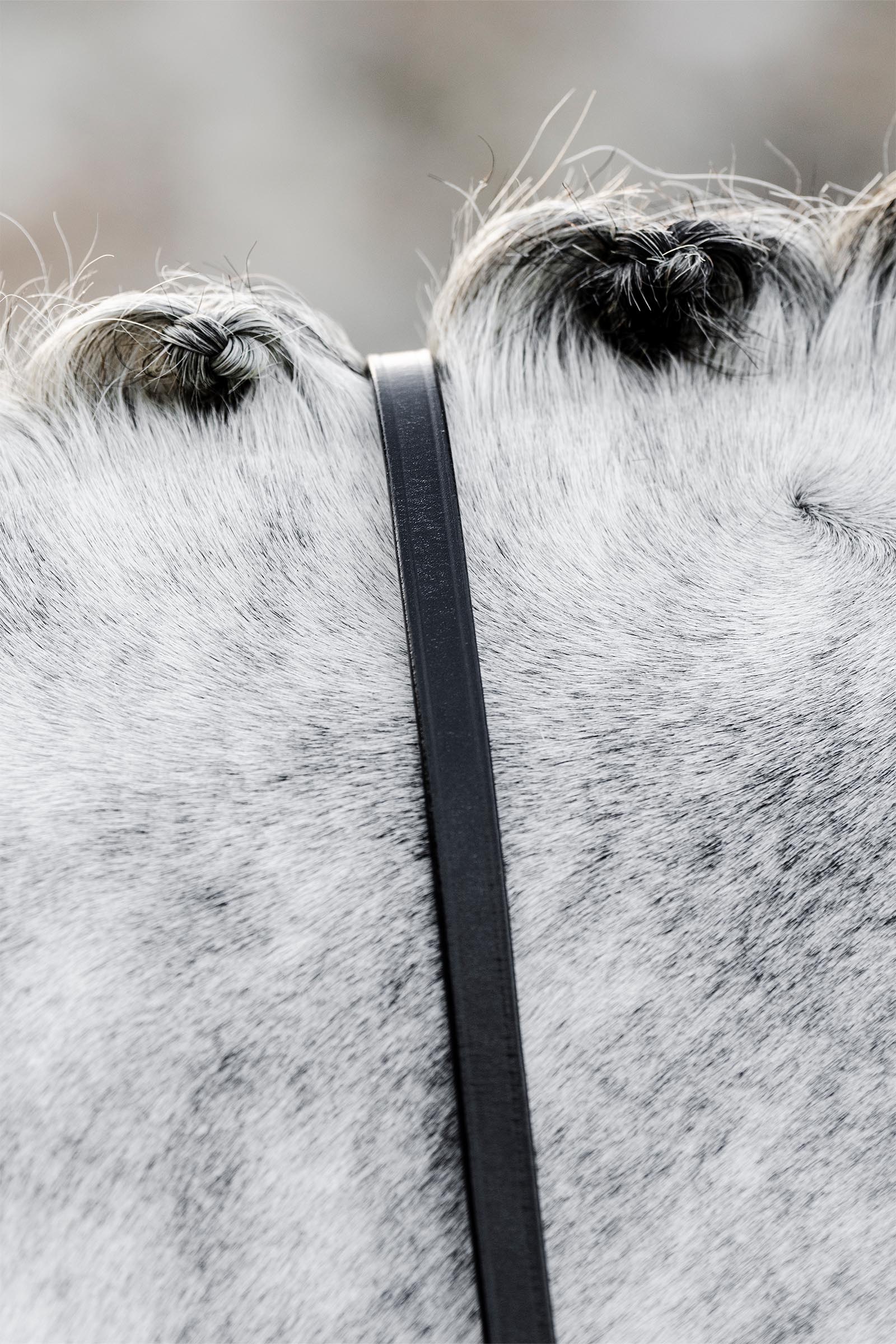 Horseware r&ecirc;nes de bride