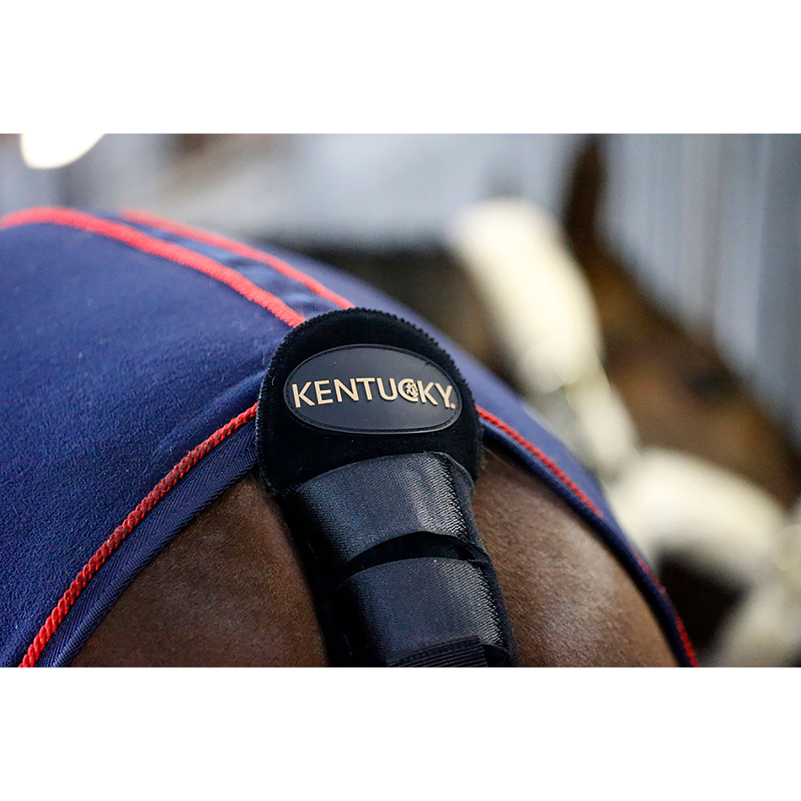 Prot&egrave;ge-queue / Sac &agrave; queue Kentucky Horsewear