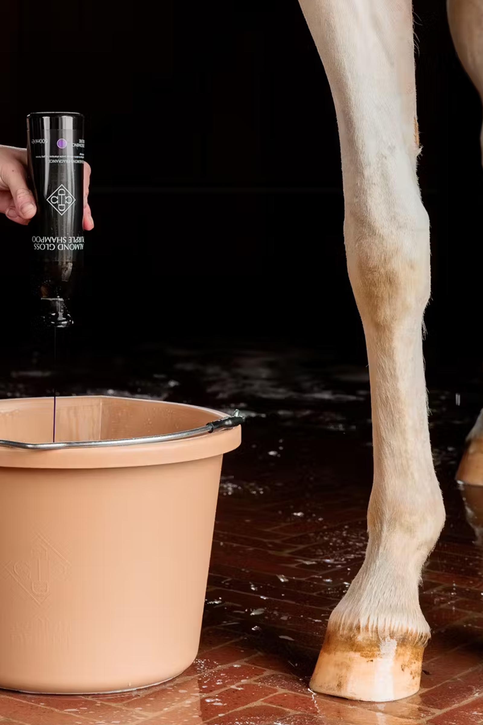 Grooming Deluxe Shampooing violet brillant amande, 500 ml