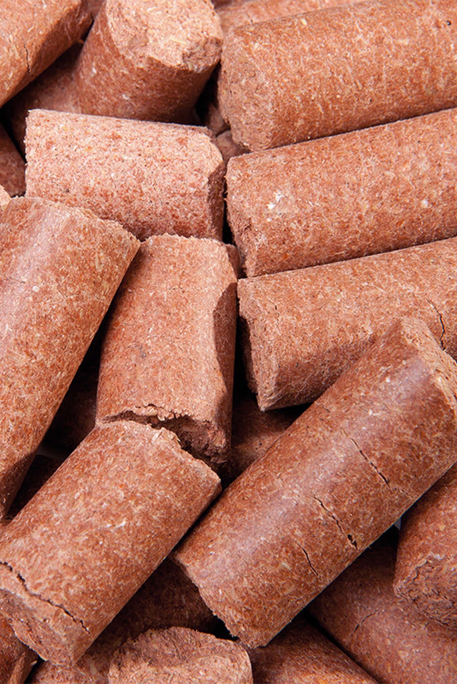 Speed Carrot Delicious Speedies, friandises, 5 kg