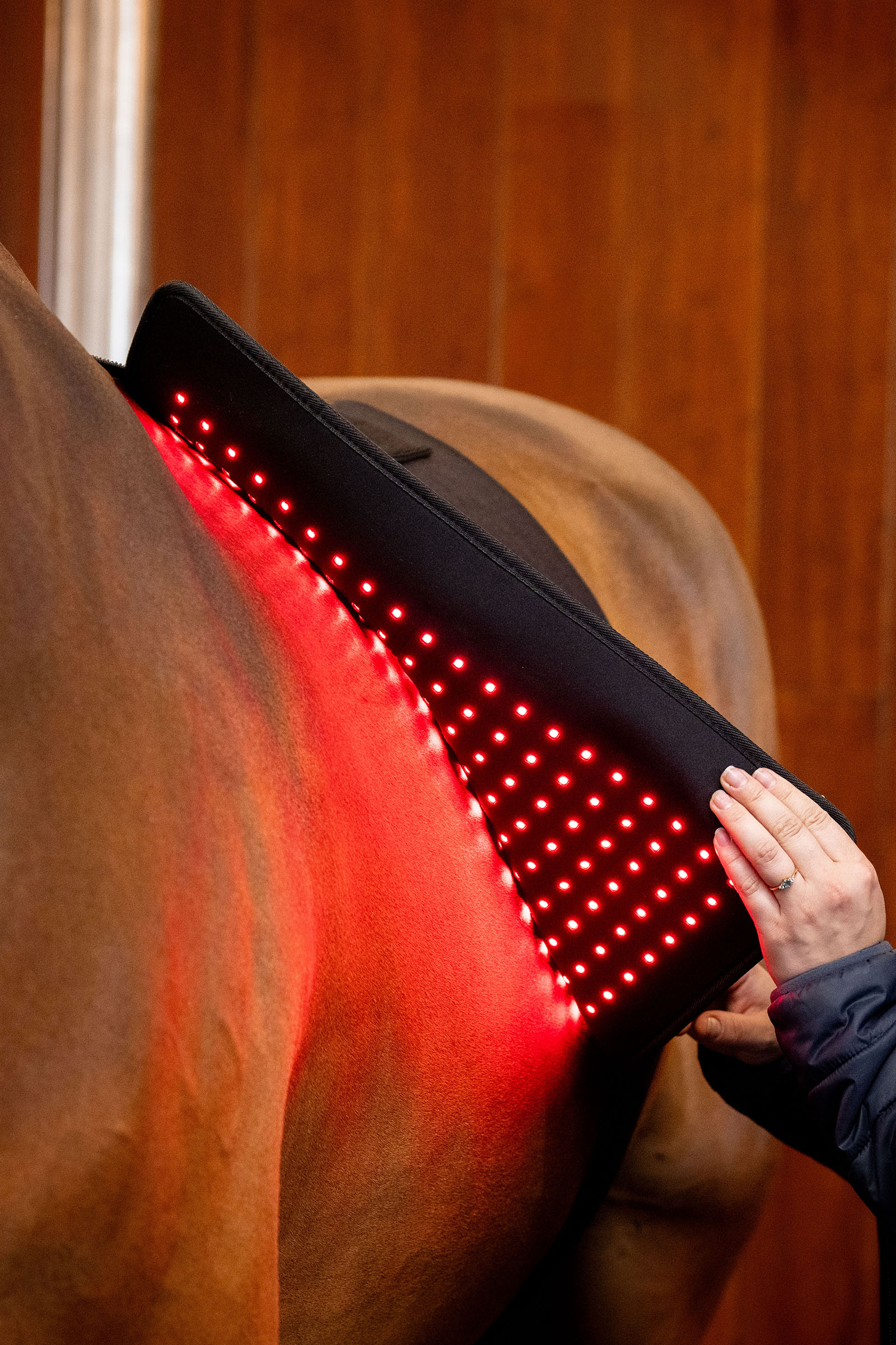 Horseware Pad th&eacute;rapeutique LED &agrave; lumi&egrave;re rouge