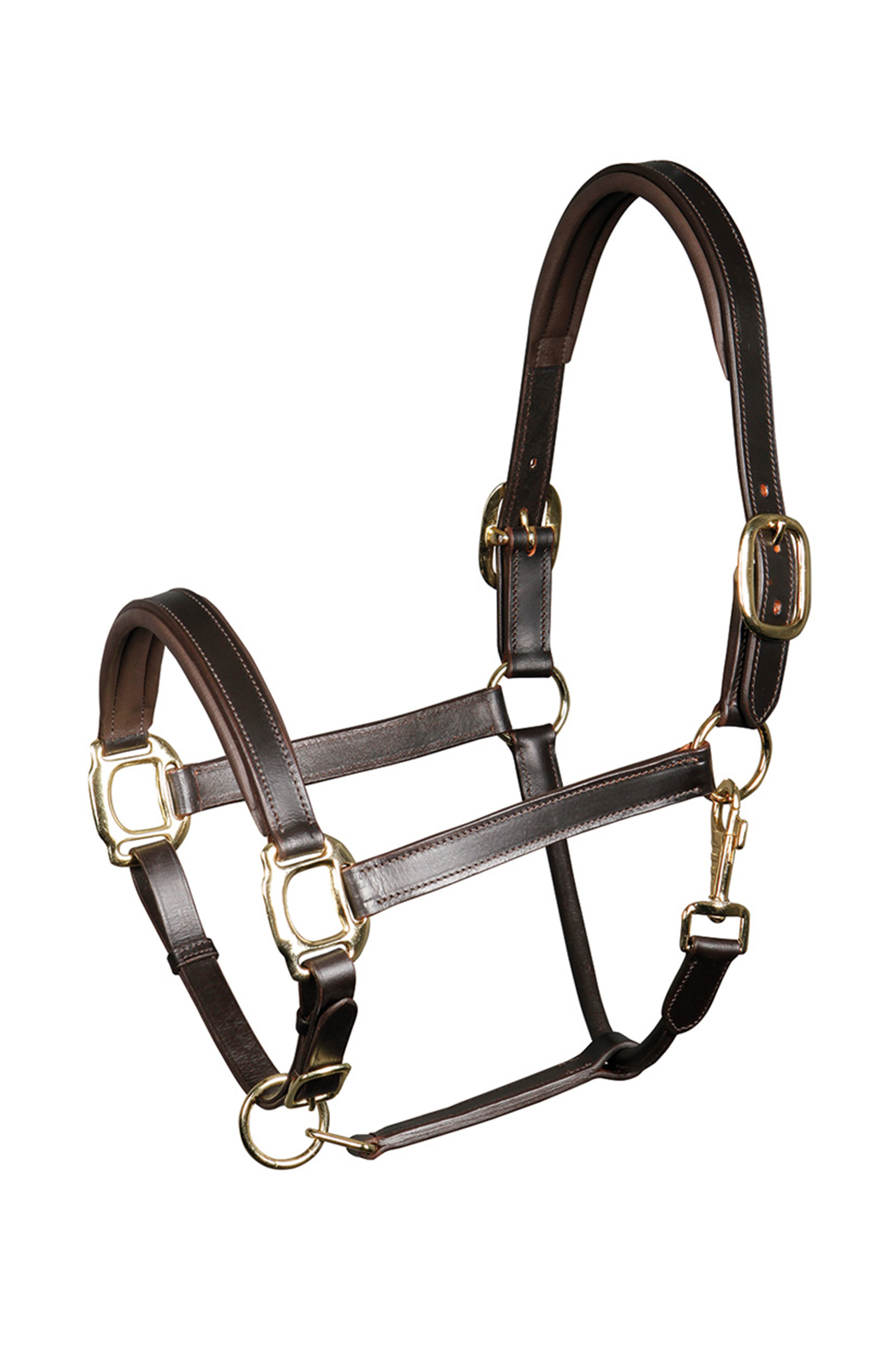 Licol cuir padded Harry's Horse