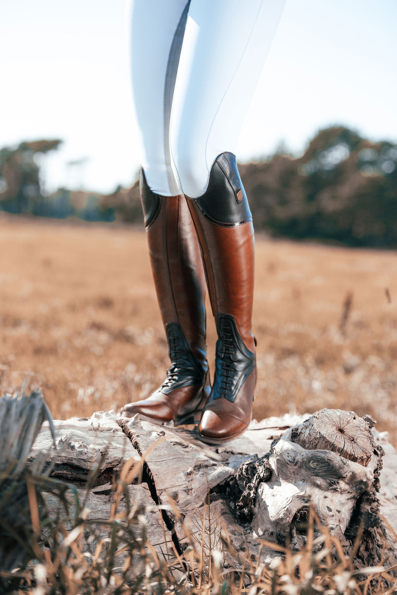 Mountain Horse Sovereign High Rider Bottes d'Équitation pour Femmes